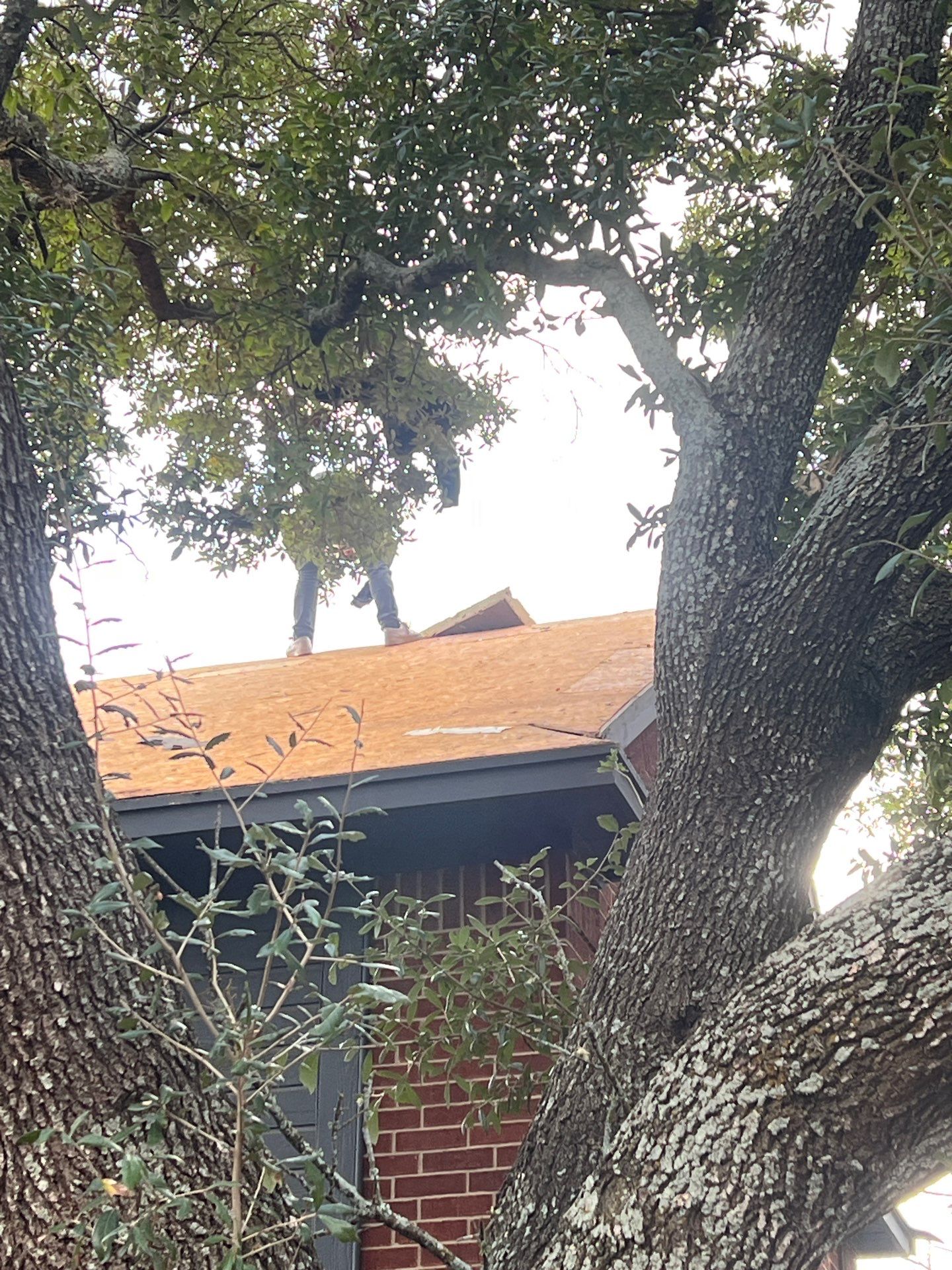 Project in Austin by Rhino Roofing and General Contracting, LLC