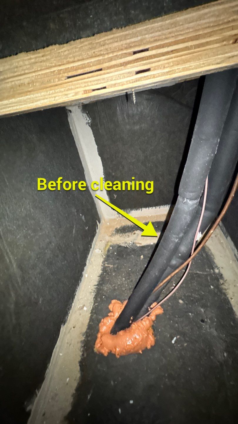 Air Duct Cleaning in Leesburg by Hygienic Air, Inc