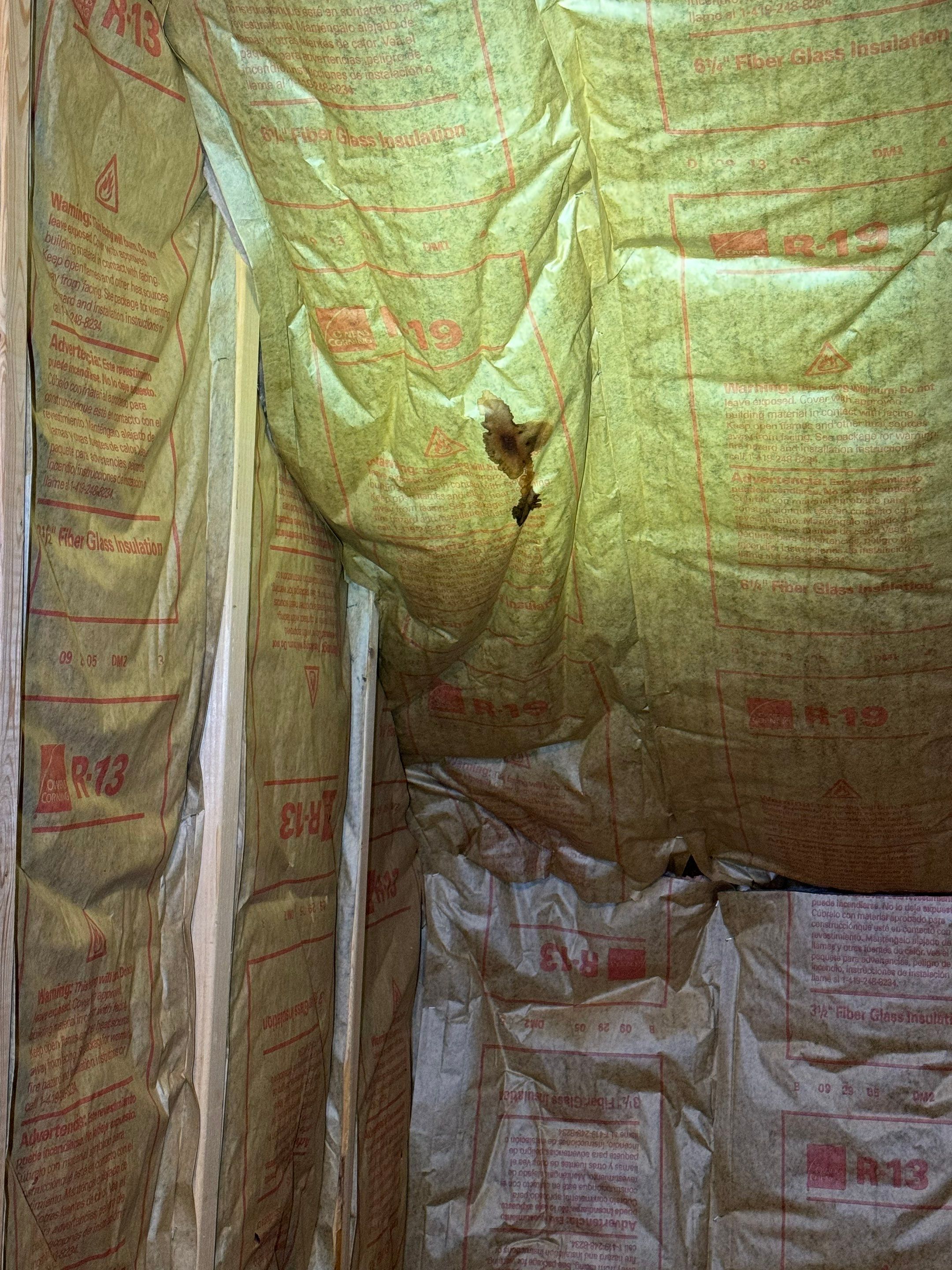 Bathroom Mold Remediation by Home Guarantee, LLC