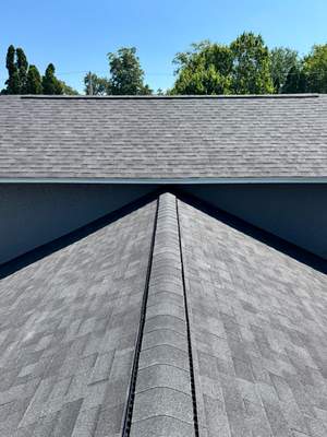 Turtle Shell gutter protection installation in Naperville, IL 60563, photograph 41