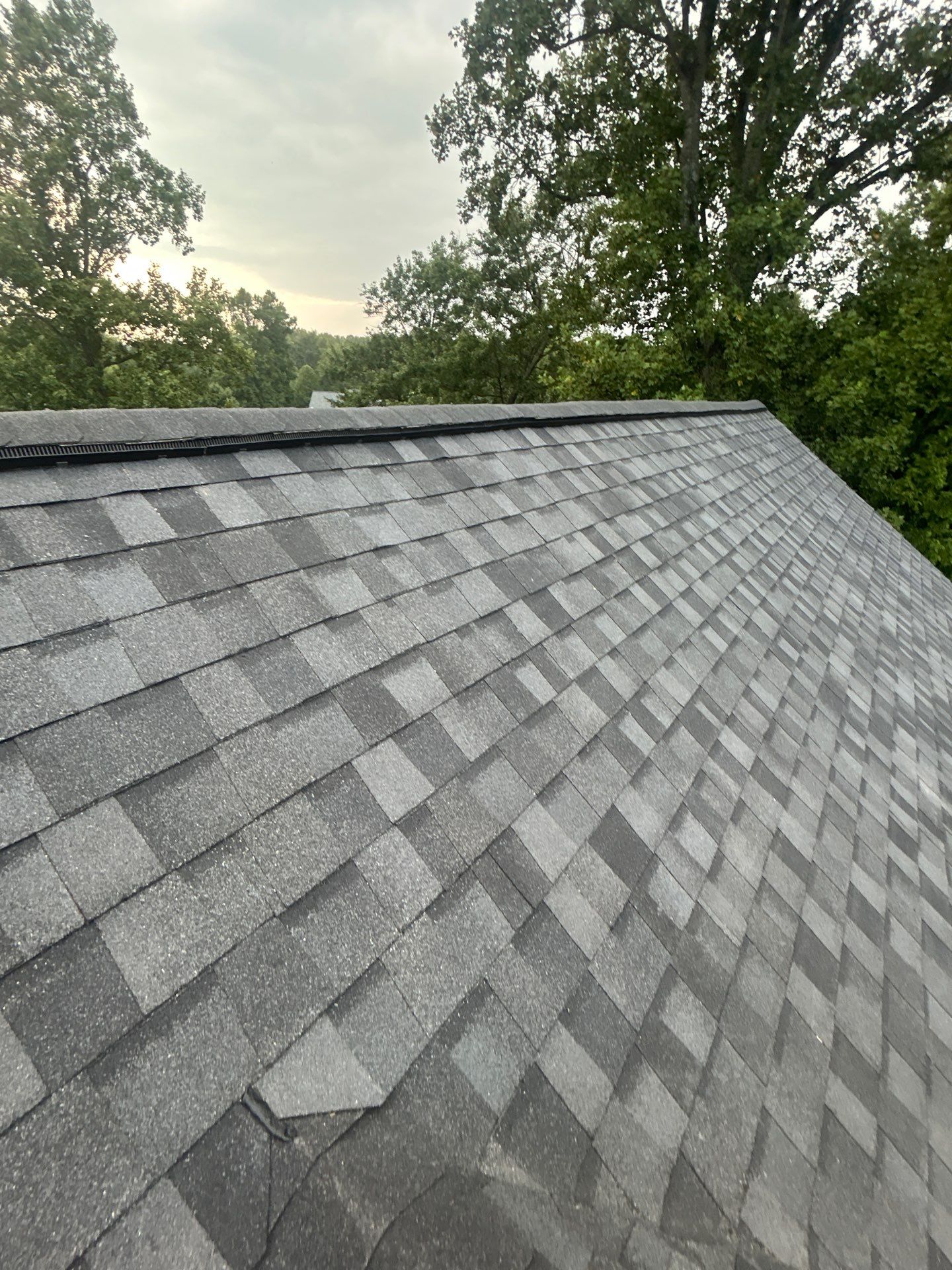 Great Falls : residential Roof with CertainTeed Landmark Pro in Max Def Moire Black  by RM Banning, Inc.