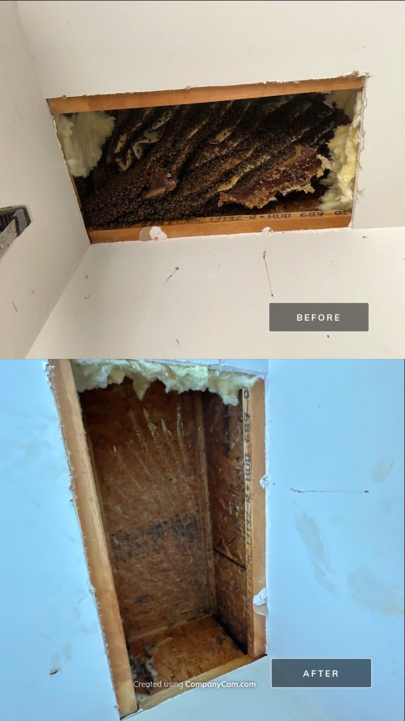 First Spring 2026 by Rockwall Honey Bee Company