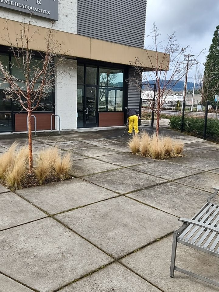 Soft Wash using Soft wash solution by Willamette Outdoor Wash LLC