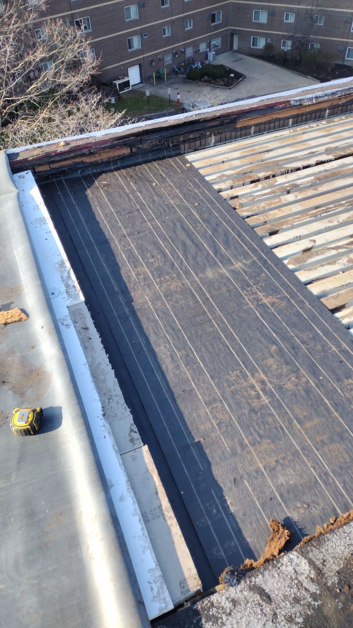 Commercial flat roof parma by Absolute Roofing and Construction