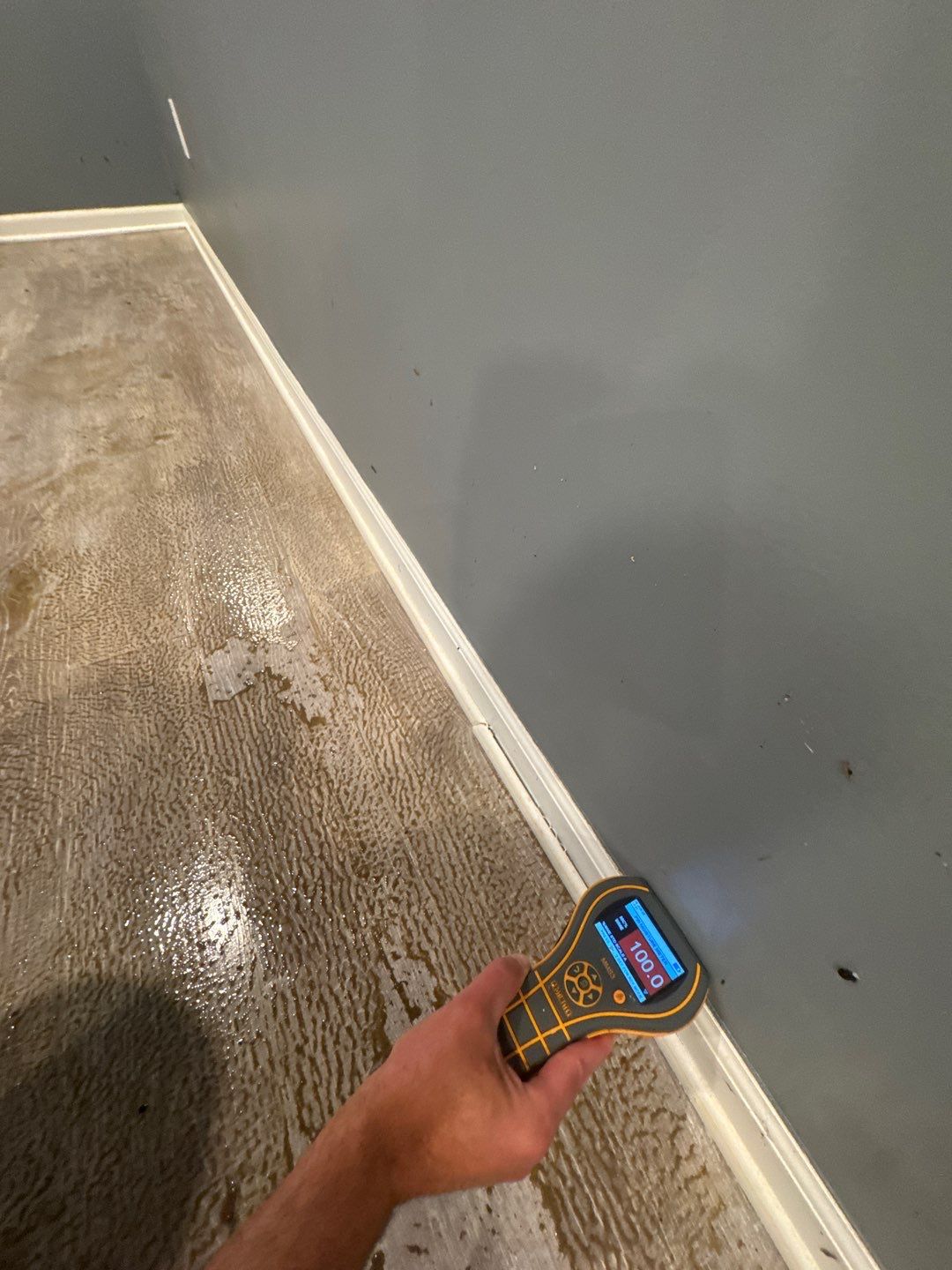 Project in Beverly Hills by EzDry Water Mitigation & Property Restoration