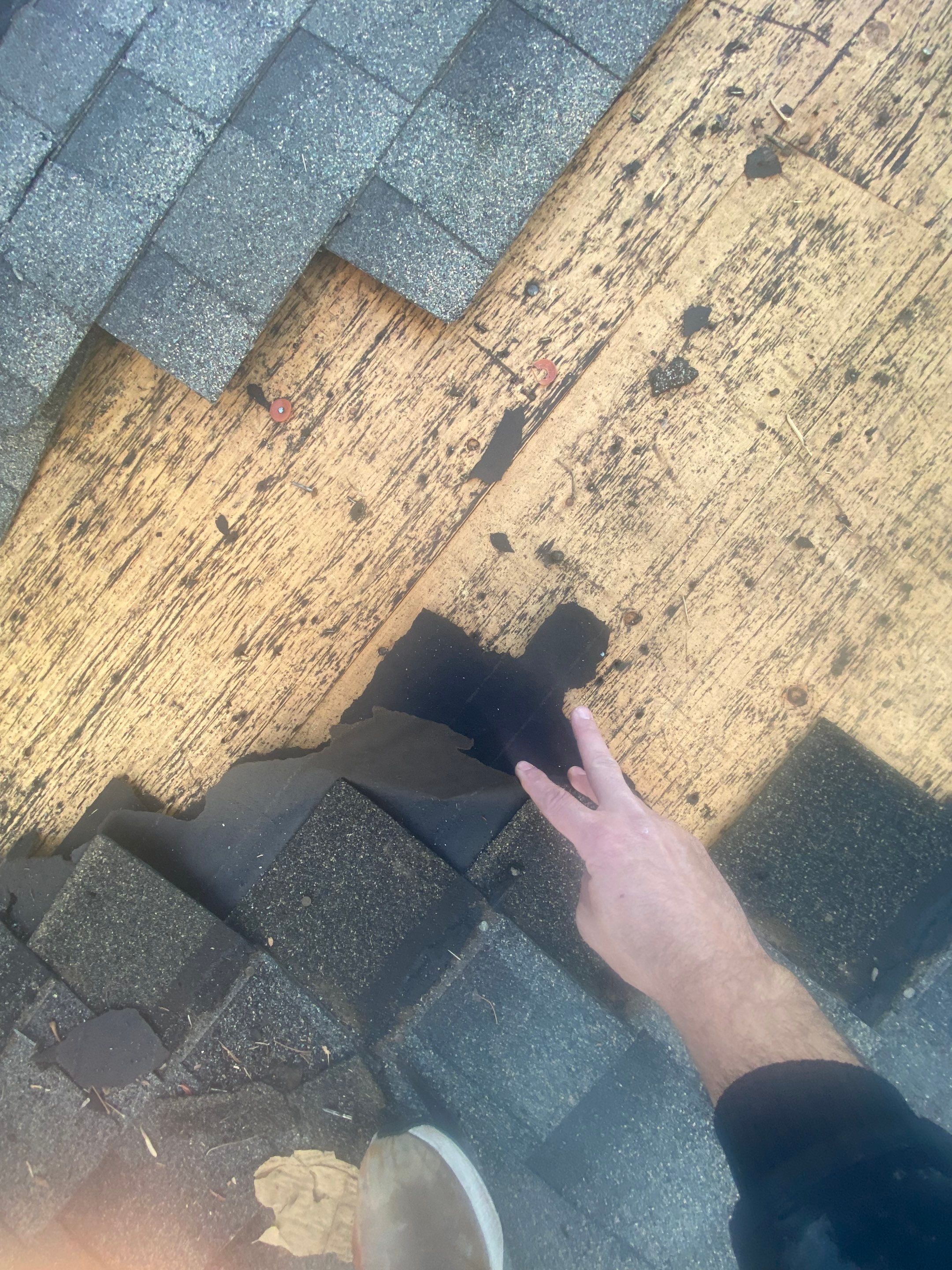 Resdiental Hail Damage Roof Replacement using Certainteed Northgate Class 4 Impact Resistant "Weathered Wood" color by Black Belt Roofing