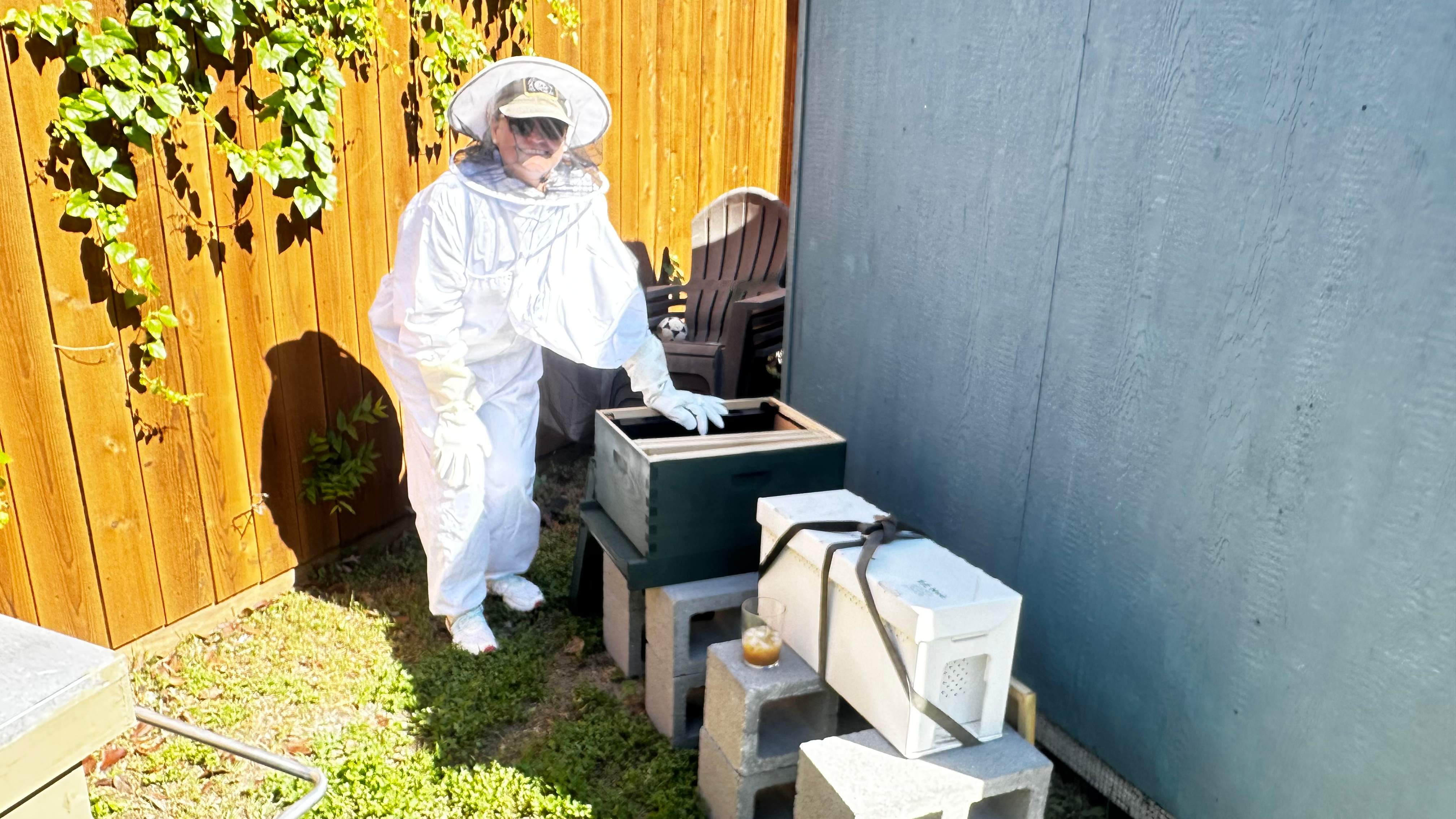 Project in Dallas by Rockwall Honey Bee Company