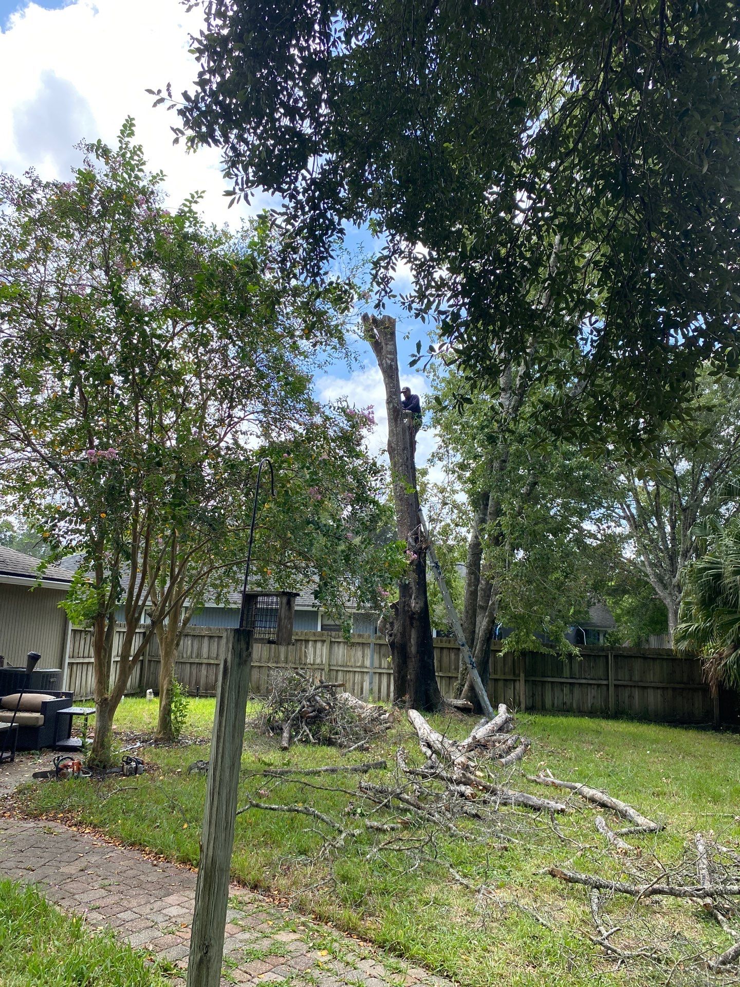 Tree Removal | Residential by ProGreen Services