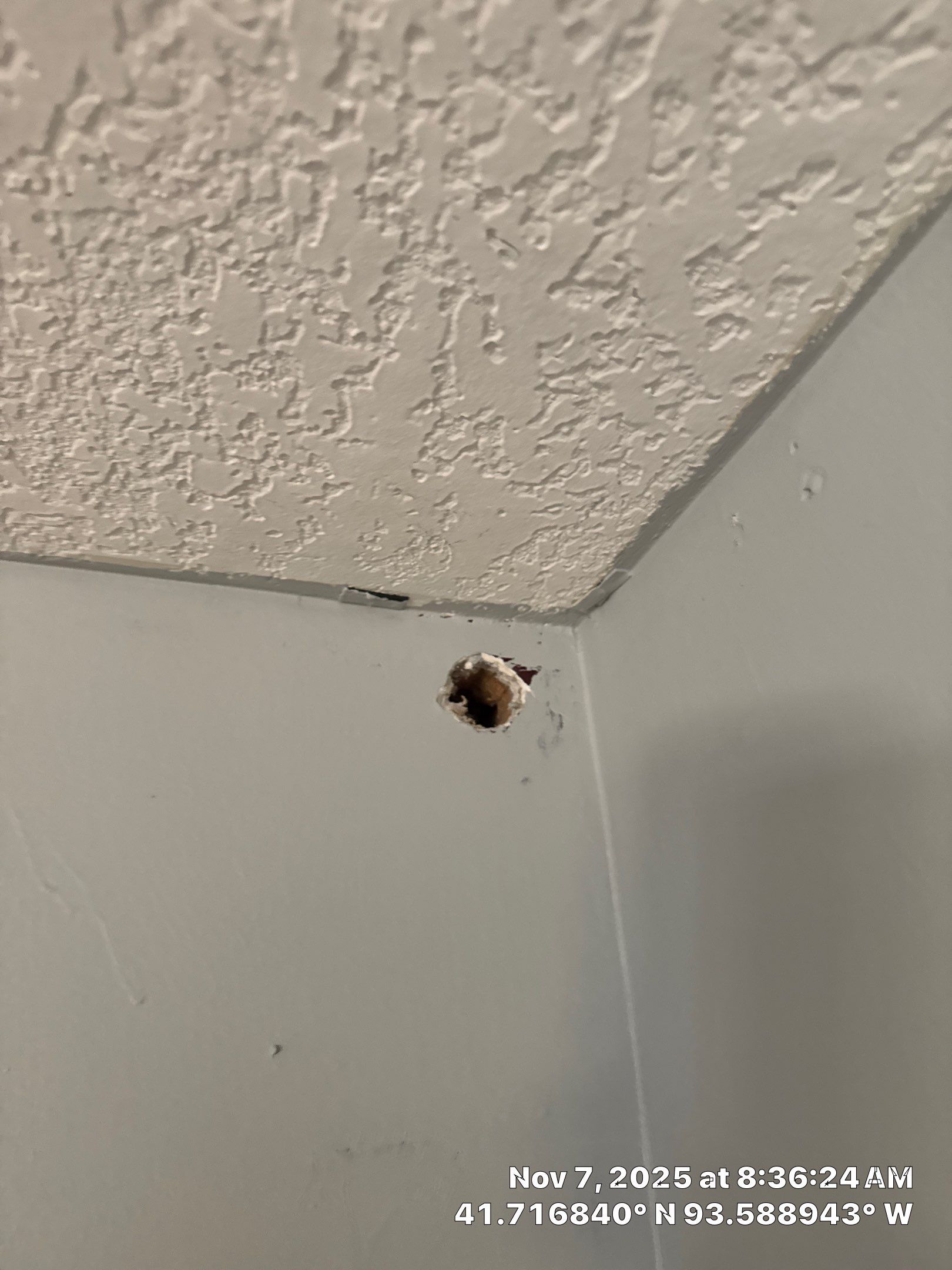 Residential Interior Repaint by Midwest Paint LLC