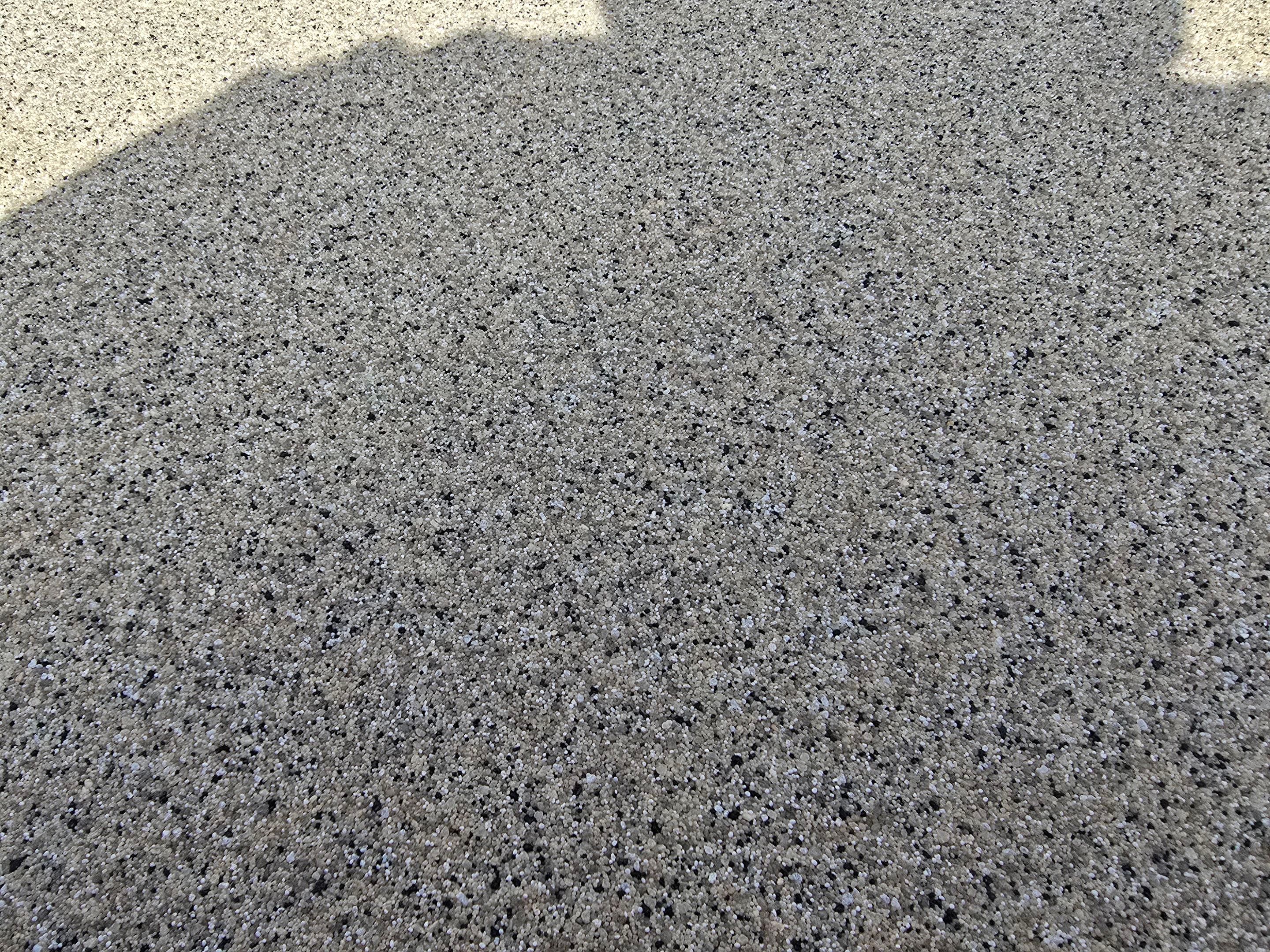 Pool Deck using Biscuit by Elite Floor Solutions