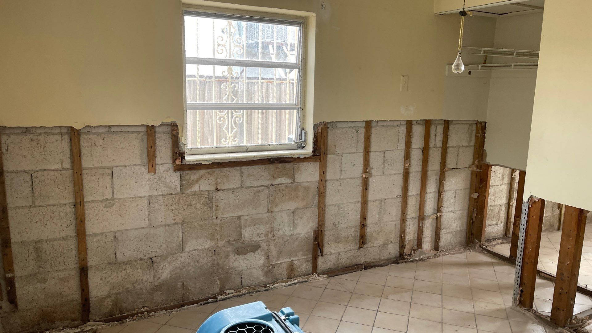 Mold Remediation  by THE RAPID TEAM