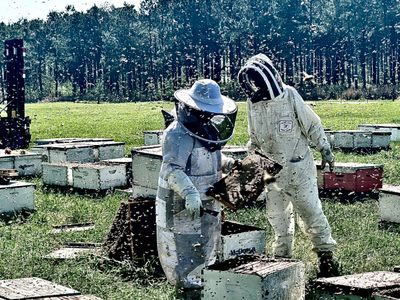 Peanut Farm Apiary