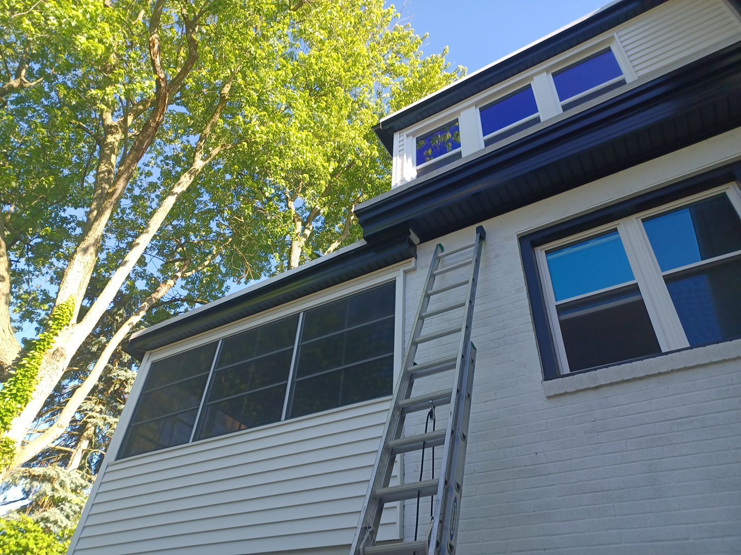 Emily Gonzalez by Silver Leaf Contracting 
