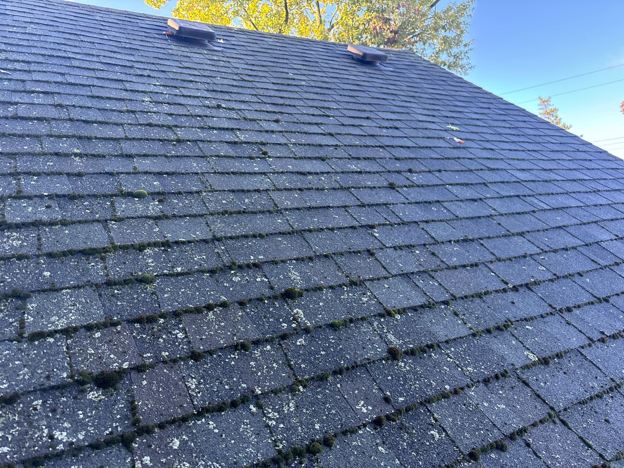Roof Replacement using Certainteed Landmark Climate-Flex by 180 Contractors