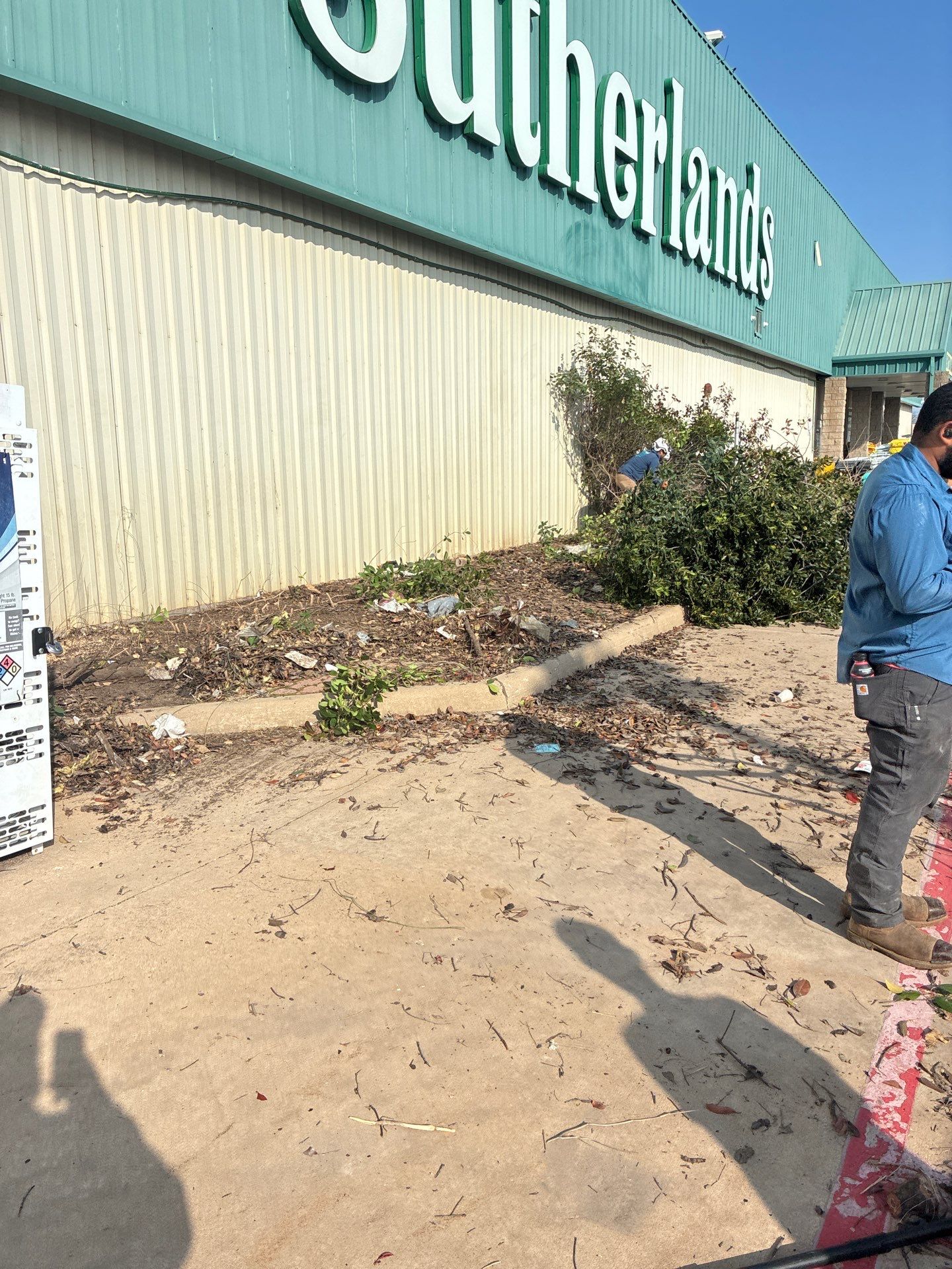 Shrub Removal by Clays Services Inc