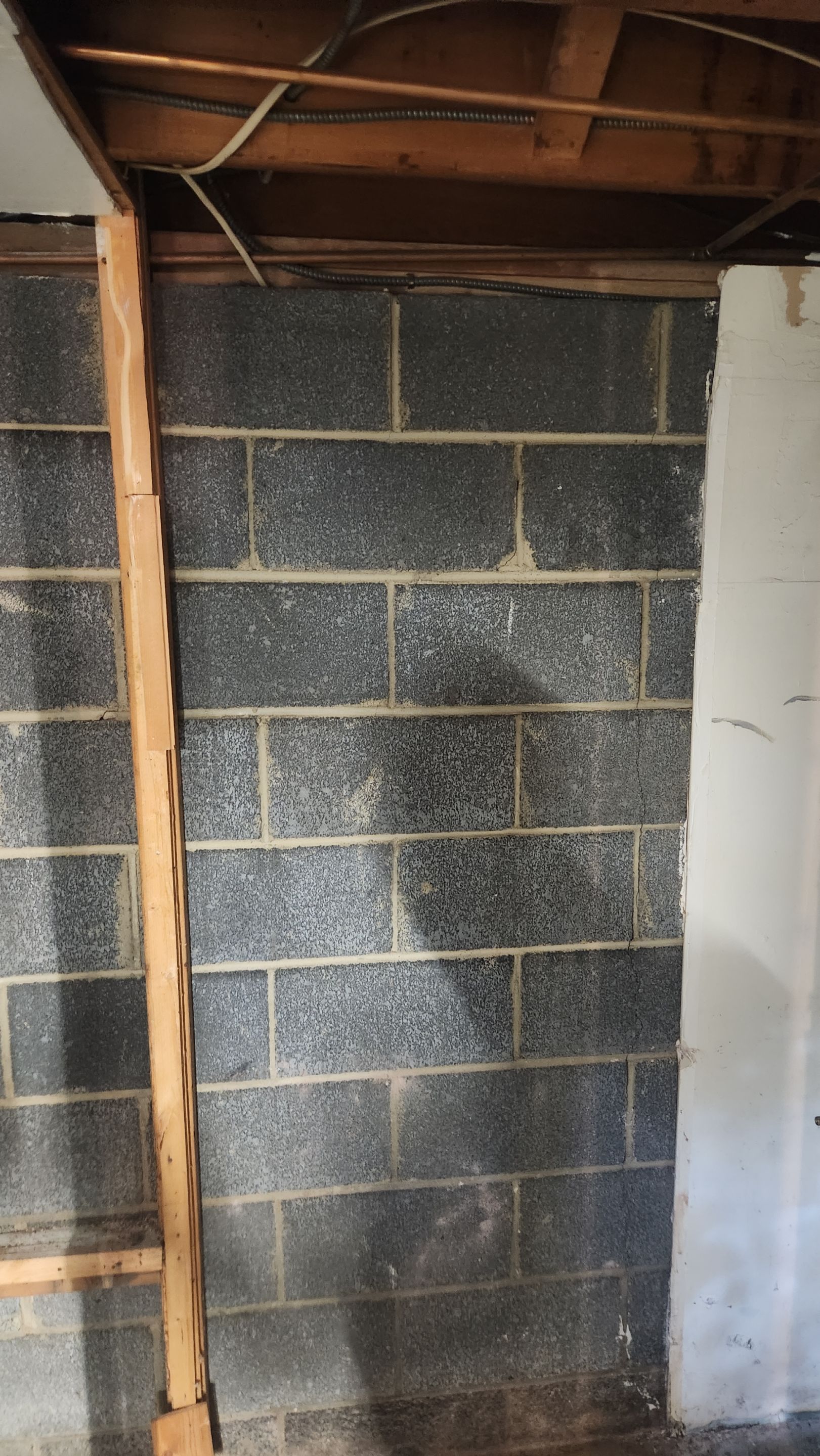 Interior French Drain & Mold Remediation Project in Manville, New Jersey by Pure Service Pro, LLC 