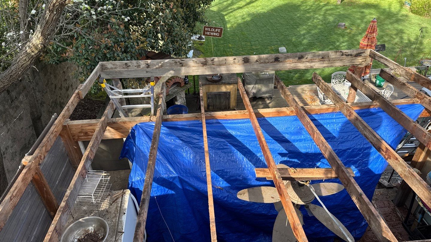 Willa Holmstock by NuLead Construction Inc