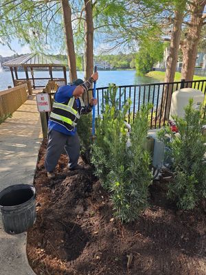 Residential Community | Shrub Installation