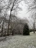 Tree Removal using Tree Removal by Mike Jones & Sons Tree Service LLC 