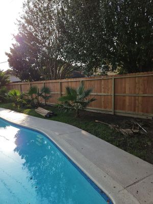 Poolside Perfection