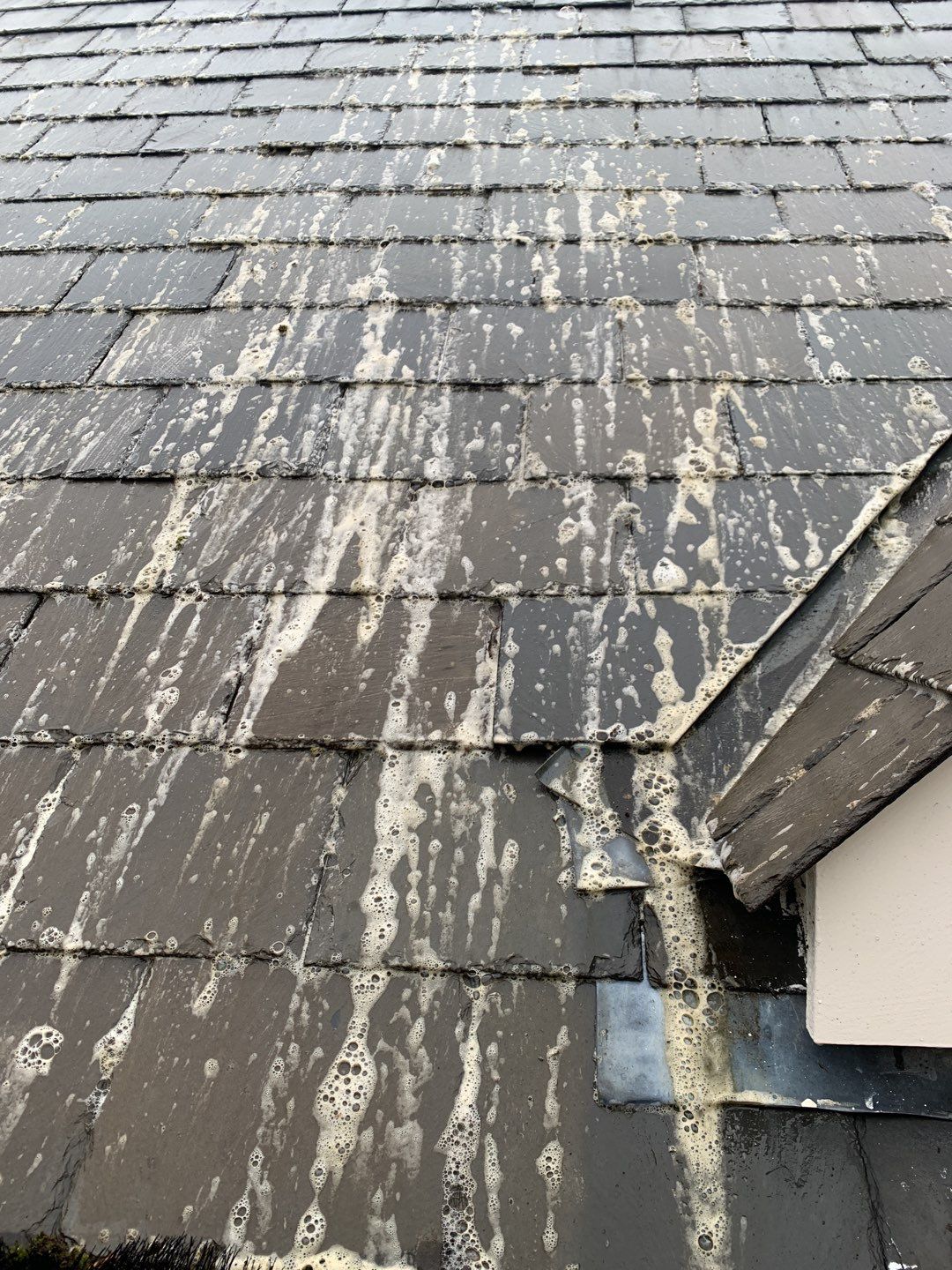Roof Clean using Mosmatic FSC and Biocide by Ges Exterior Cleaning ltd