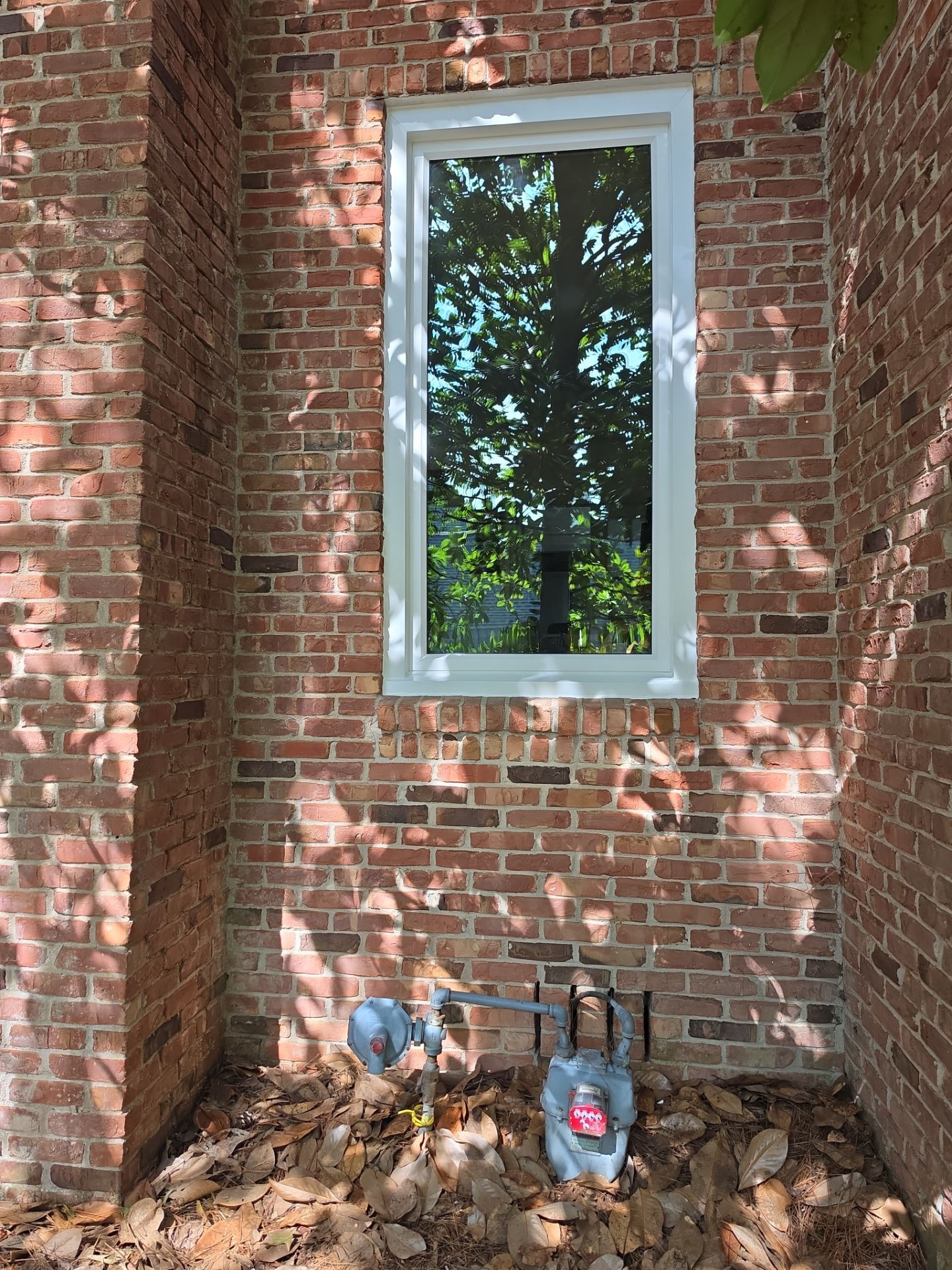 Ackerman Project in Vestavia Hills by The Window Source