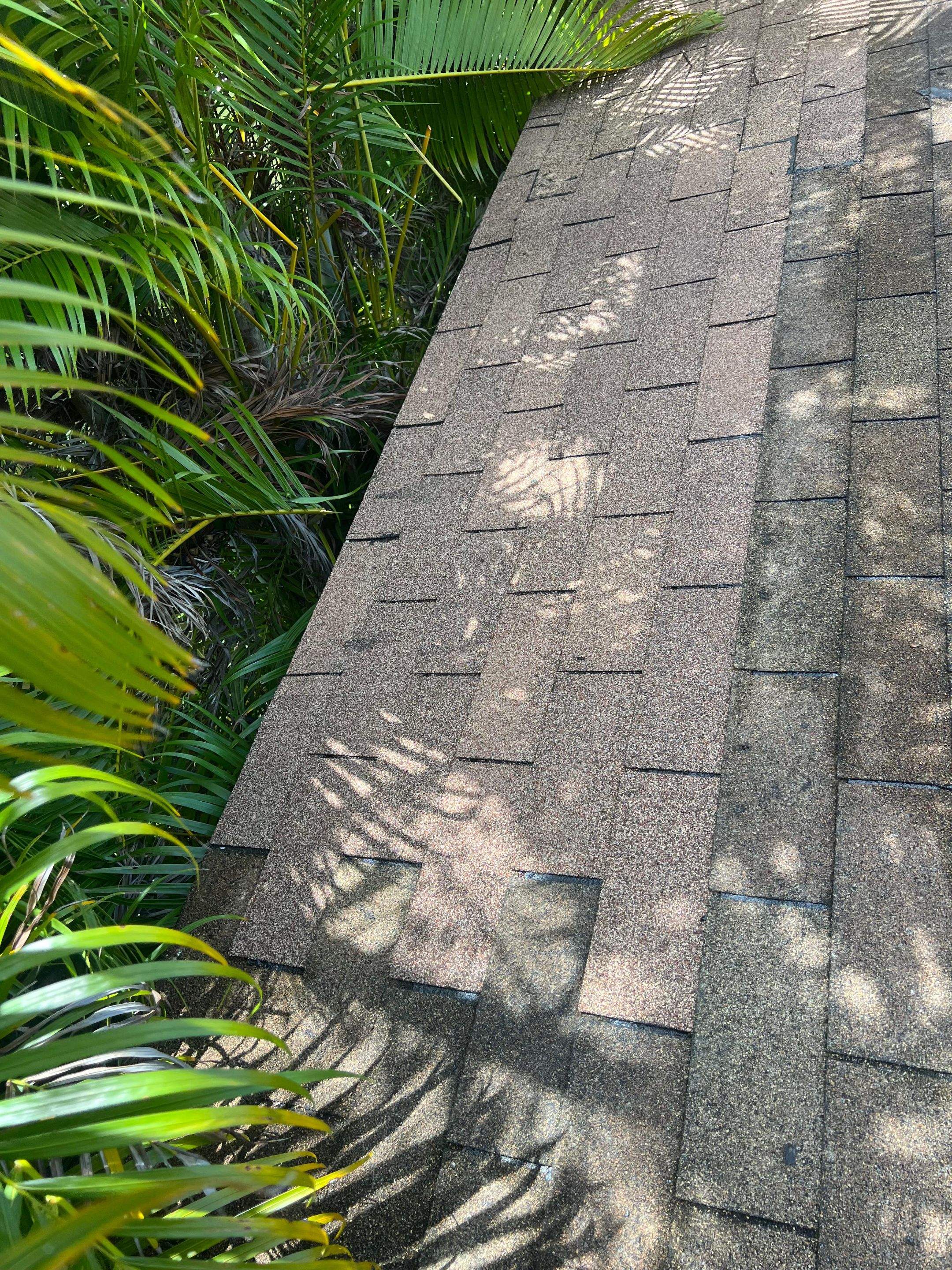 Project in North Miami Beach by Silverline Roofing