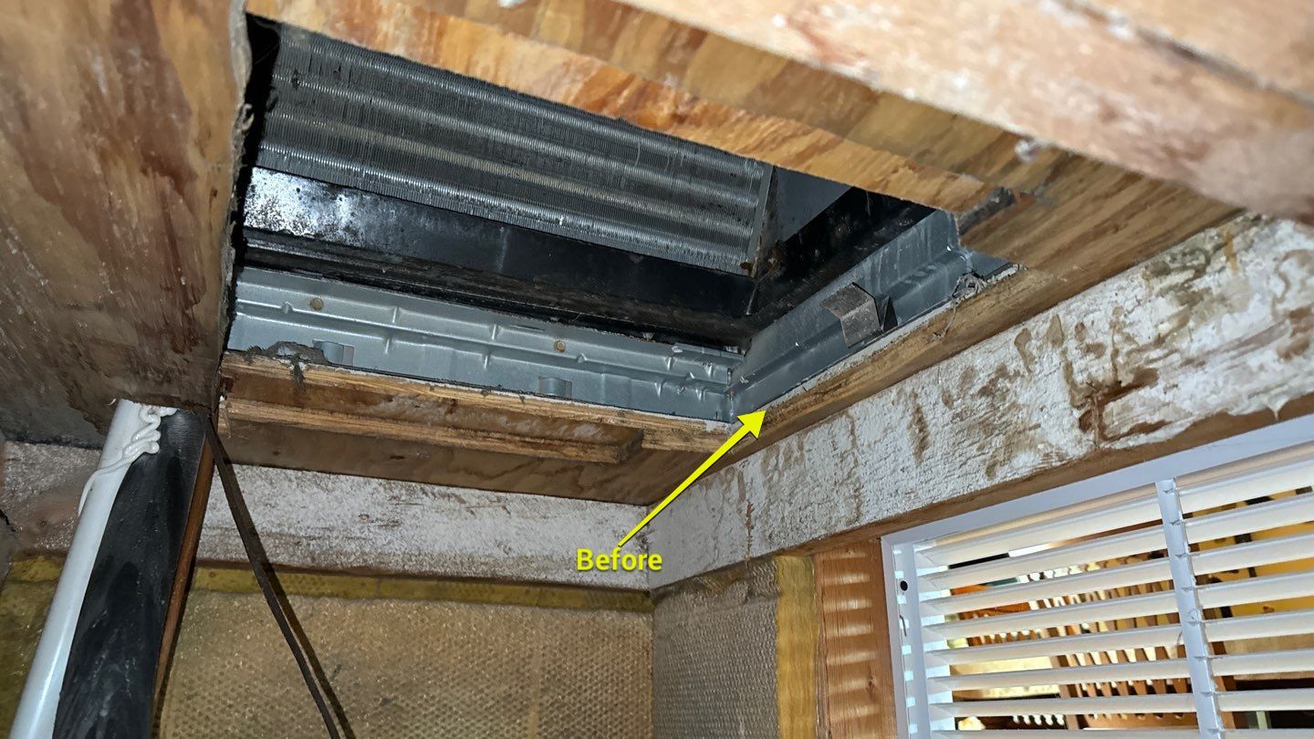 Air Duct Cleaning in Tavares by Hygienic Air, Inc