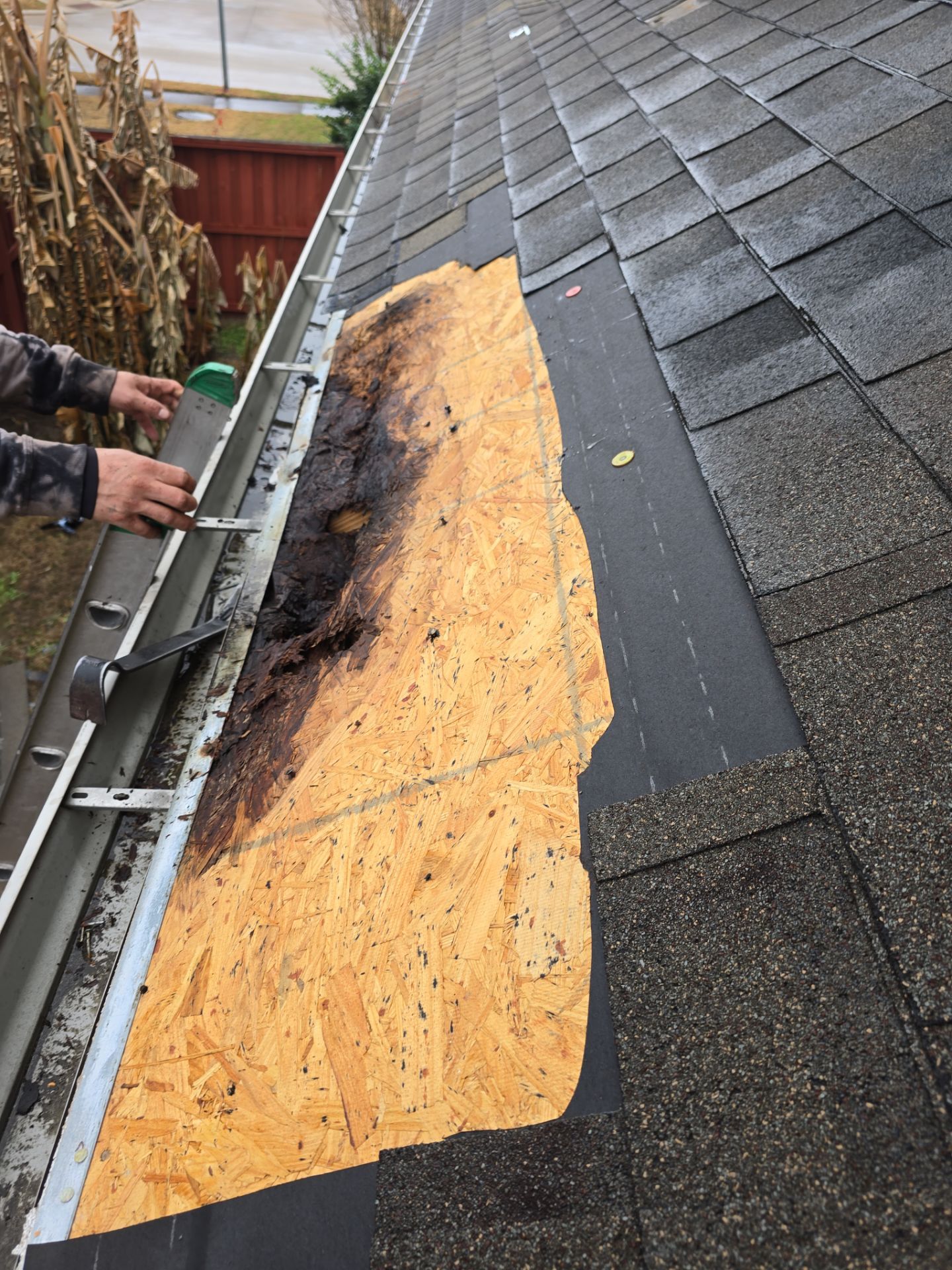 Roof Repair Richmond by Roof Repair Services LLC