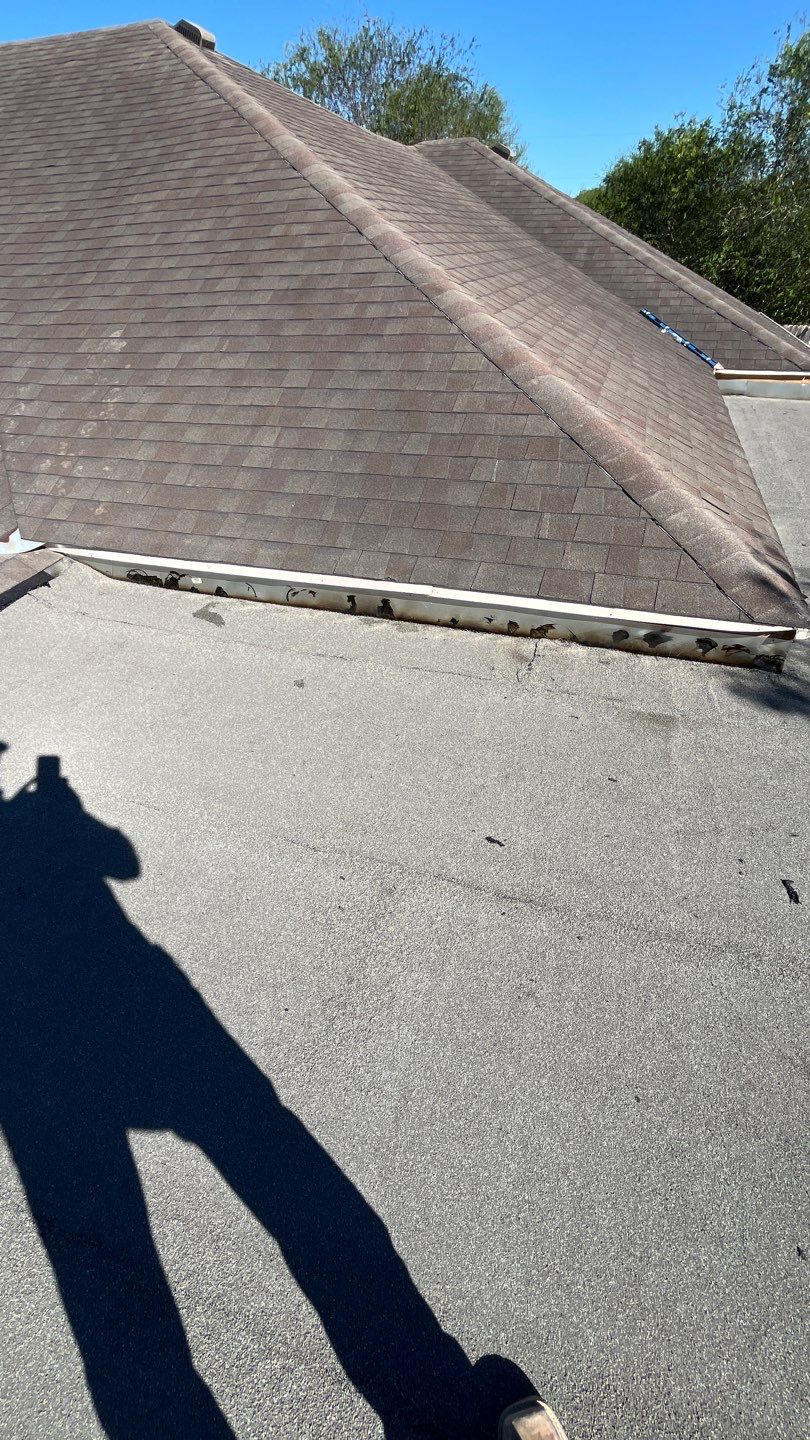 It Ain't Easy getting Shady  by Bayfront Roofing and Construction
