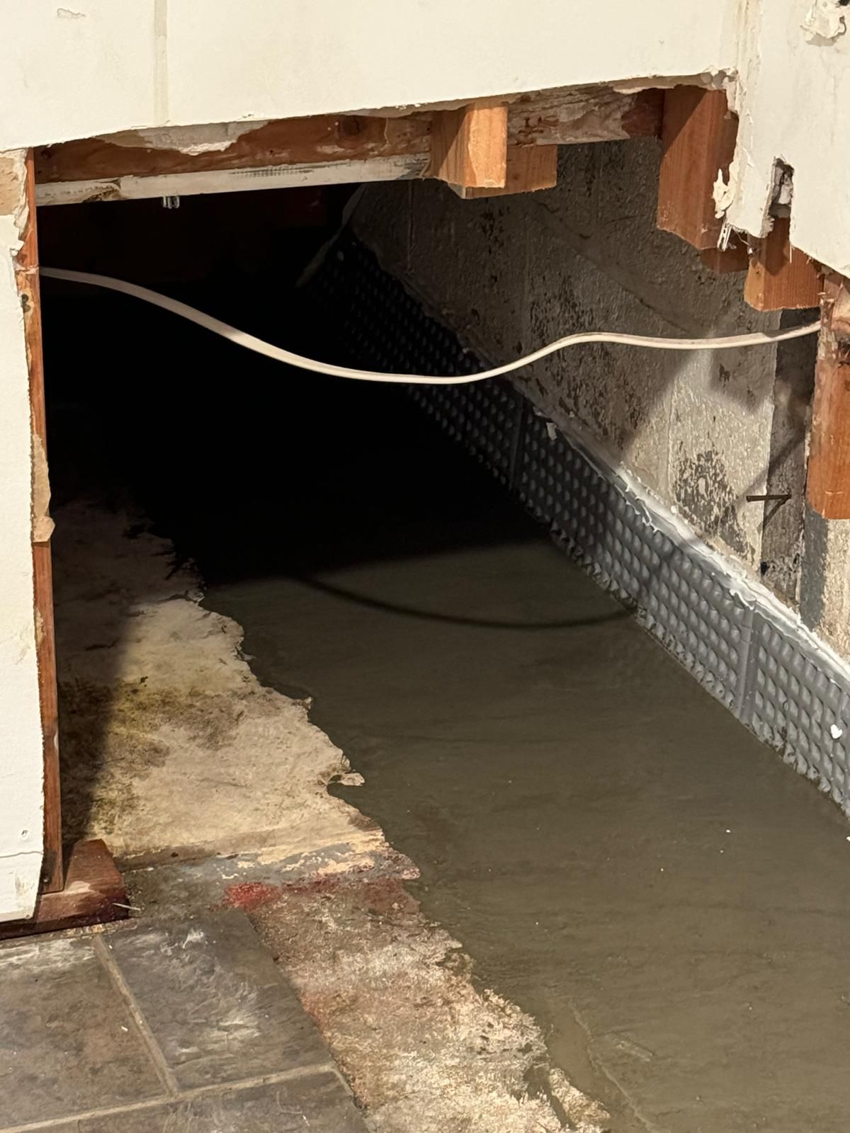 Interior French Drain Basking Ridge NJ by Pure Service Pro, LLC 