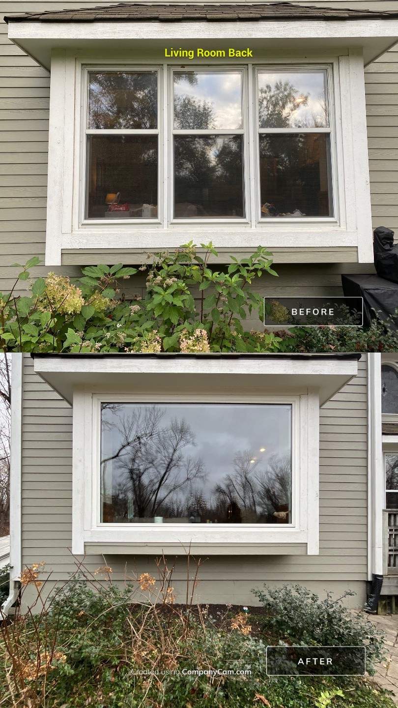 Marvin Vivid Transformation II by WINDURA