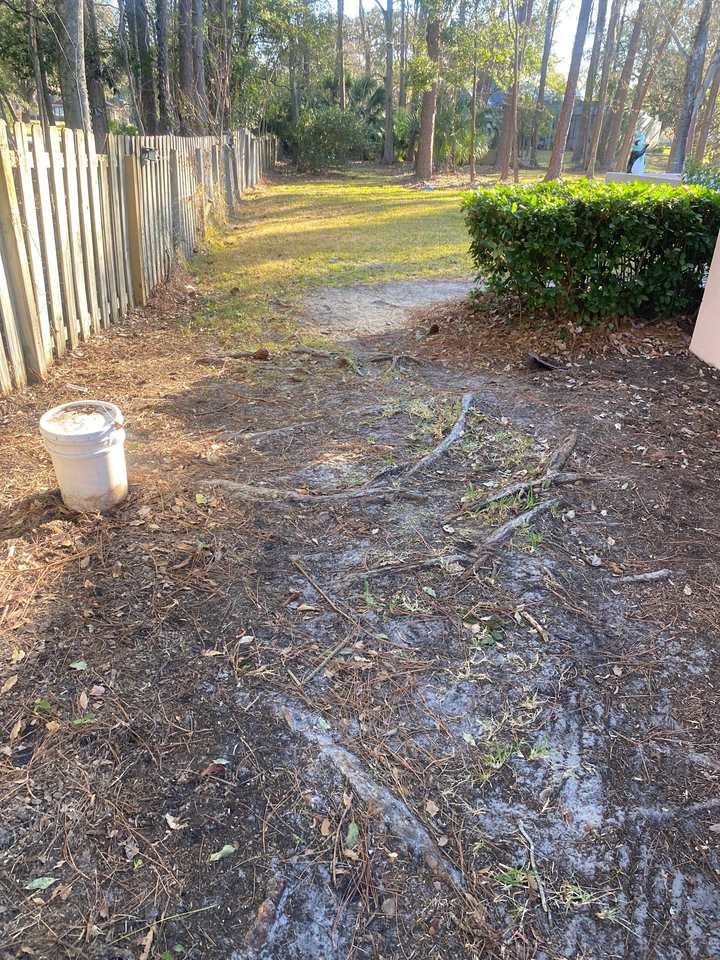 Deerwood Resident | Tree Removal & Clean-Up by ProGreen Services