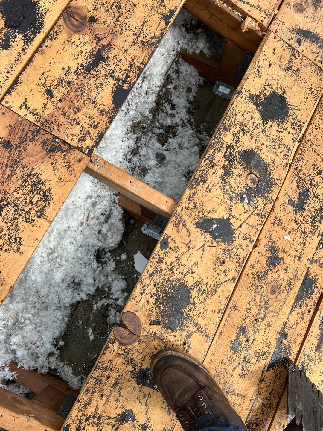 Project in Seminole 33772 by Mitchell Roofing Company LLC