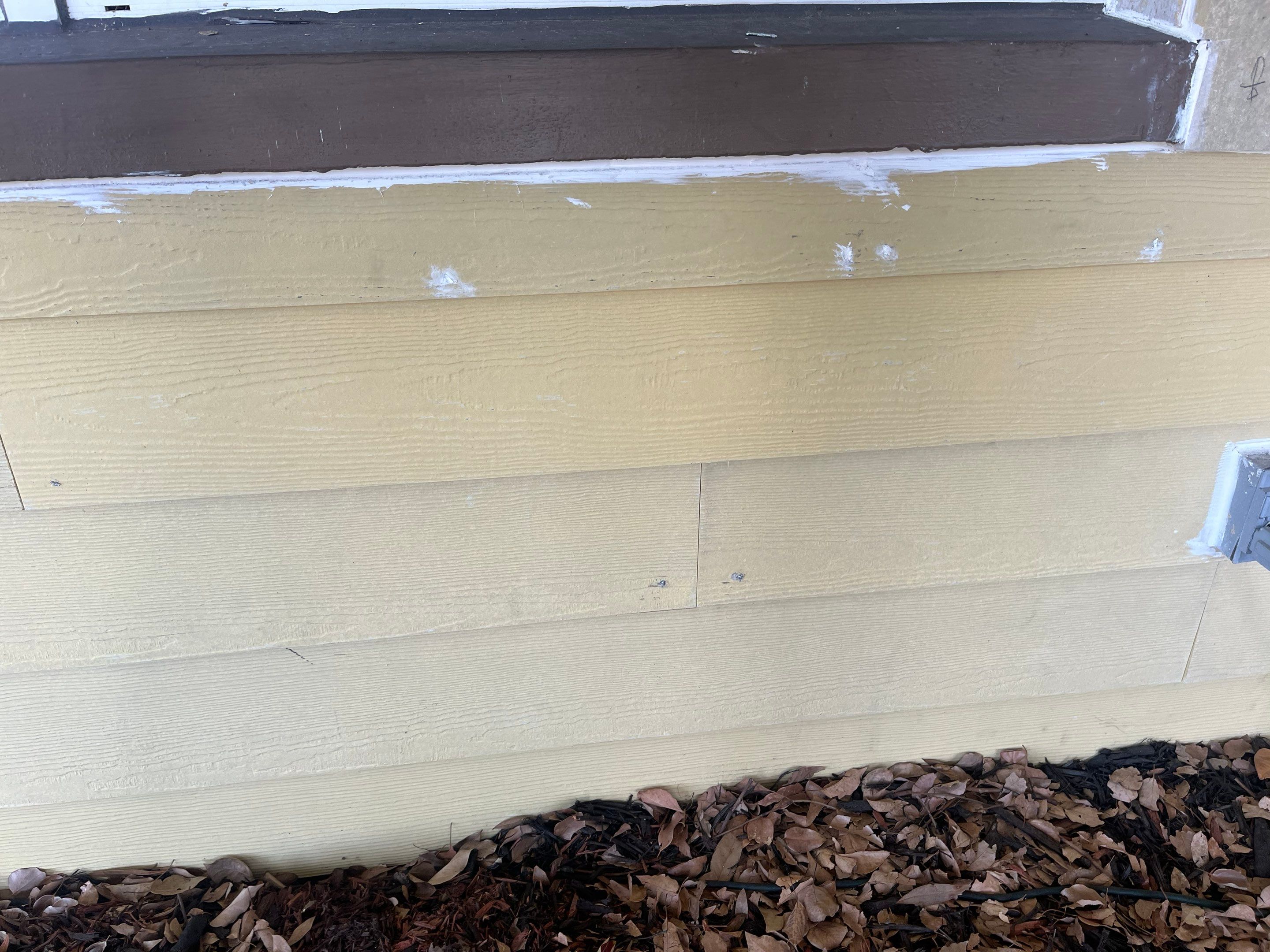 Project in St. Petersburg by Bayshore Exteriors