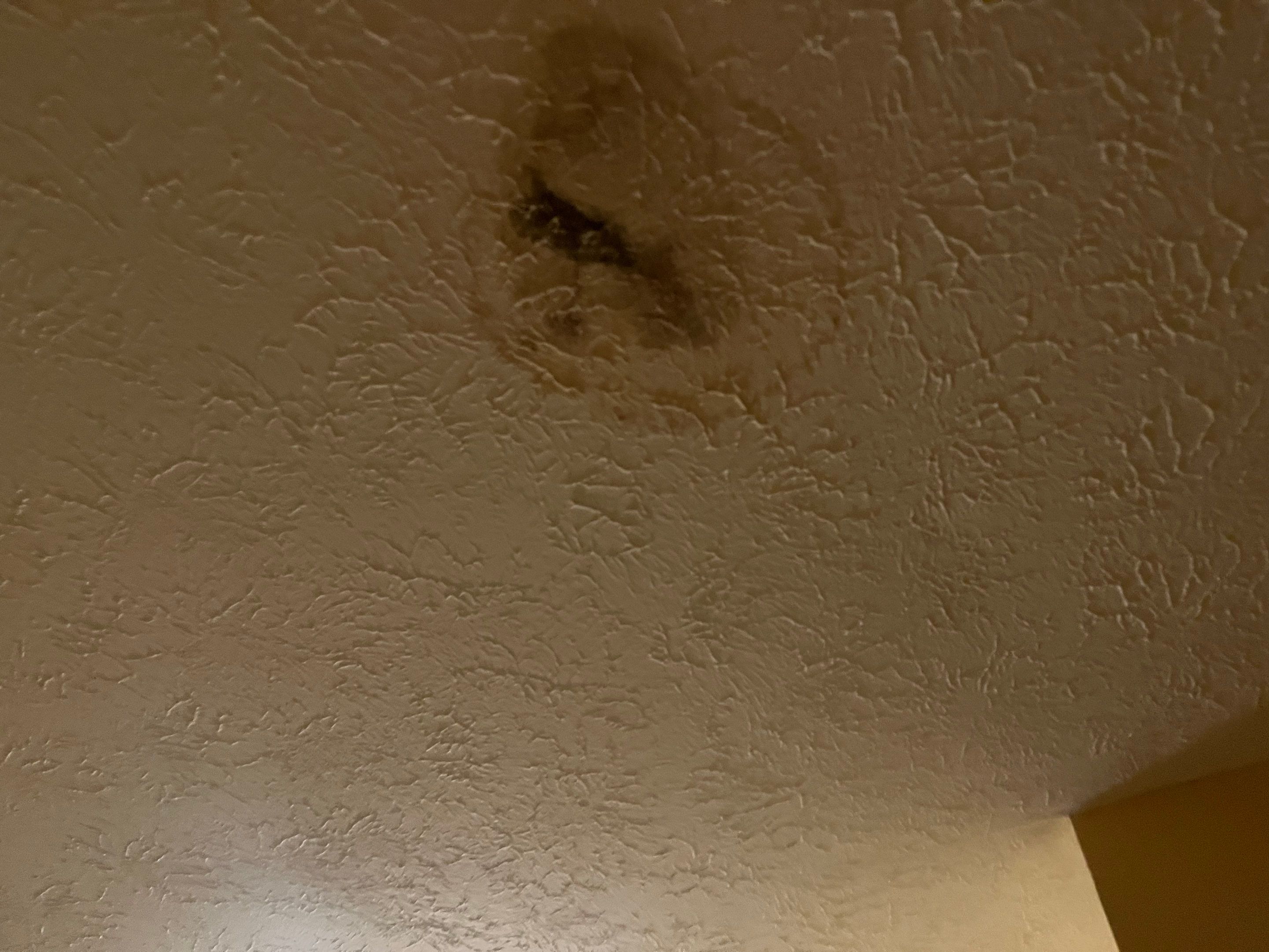 Attic Mold Remediation in Goshen, KY by ANR Restoration