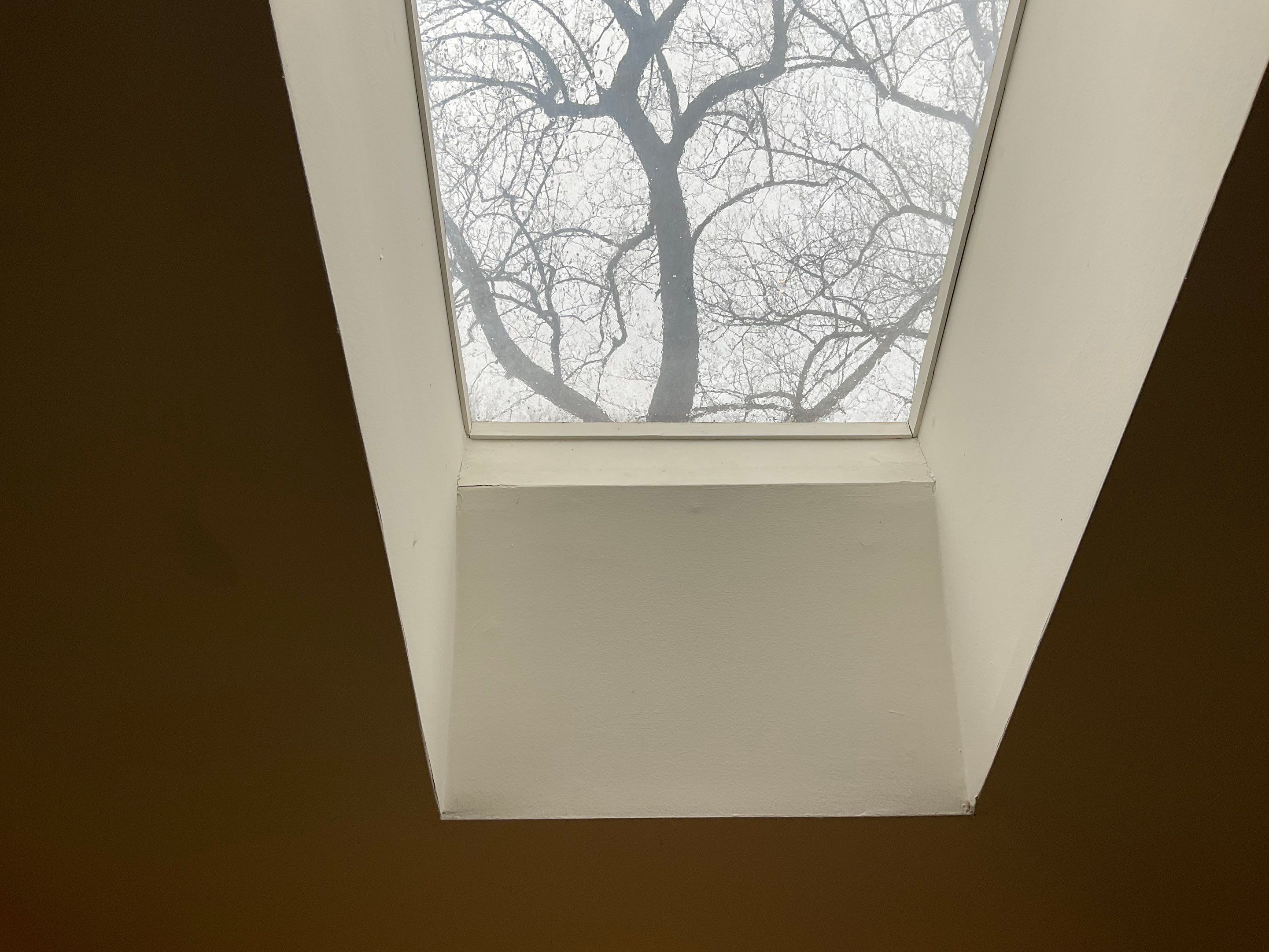 Install new shingles and new skylights  by Alpha Design Services