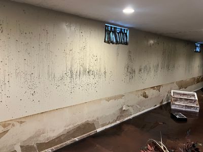EMS Water Damage and Mold Remediation in Louisville, KY