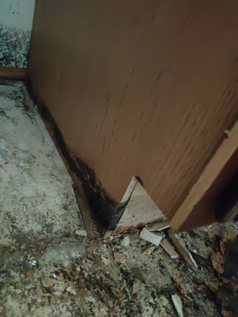 Mold Remediation in Kitchen by Accountable Home Services