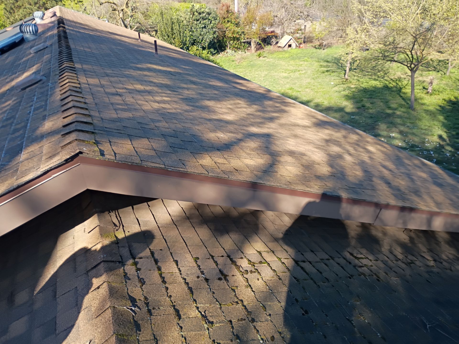 Roof Rejuvenation using Roof Maxx Treatment by Roof Maxx of Folsom