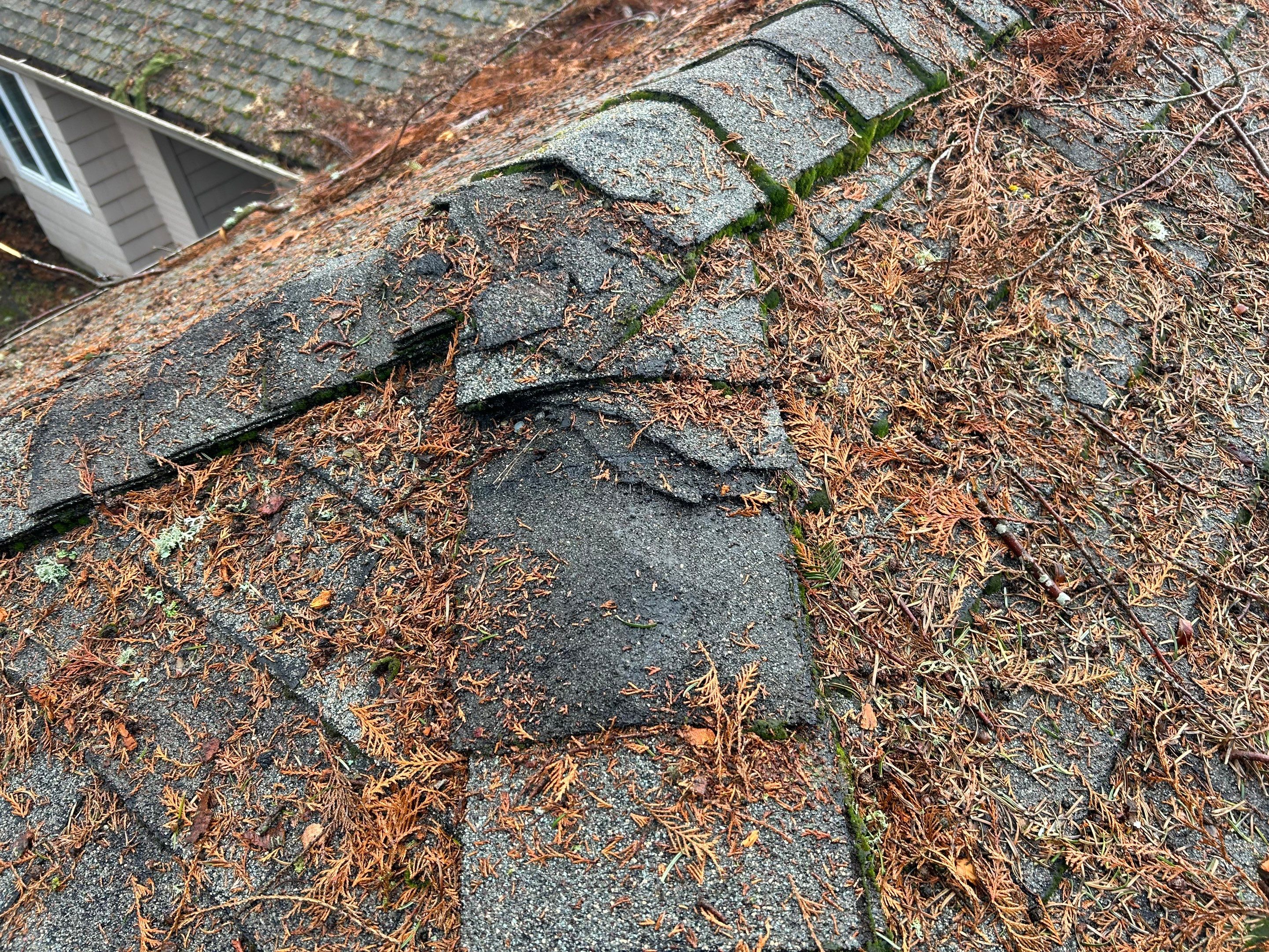 Roof Replacement in Hillsboro by Prodigy Roof Solutions