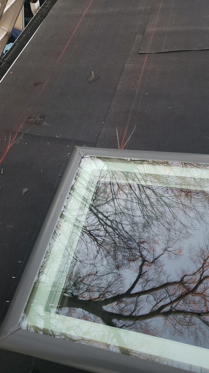 Vienna: Certainteed Landmark Pro Designer Shingles in Max Def Driftwood by RM Banning, Inc.