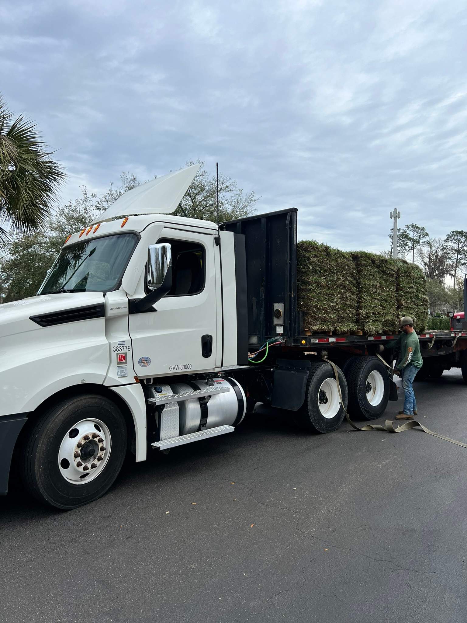 Landscape Install | Marriott Hotel by ProGreen Services