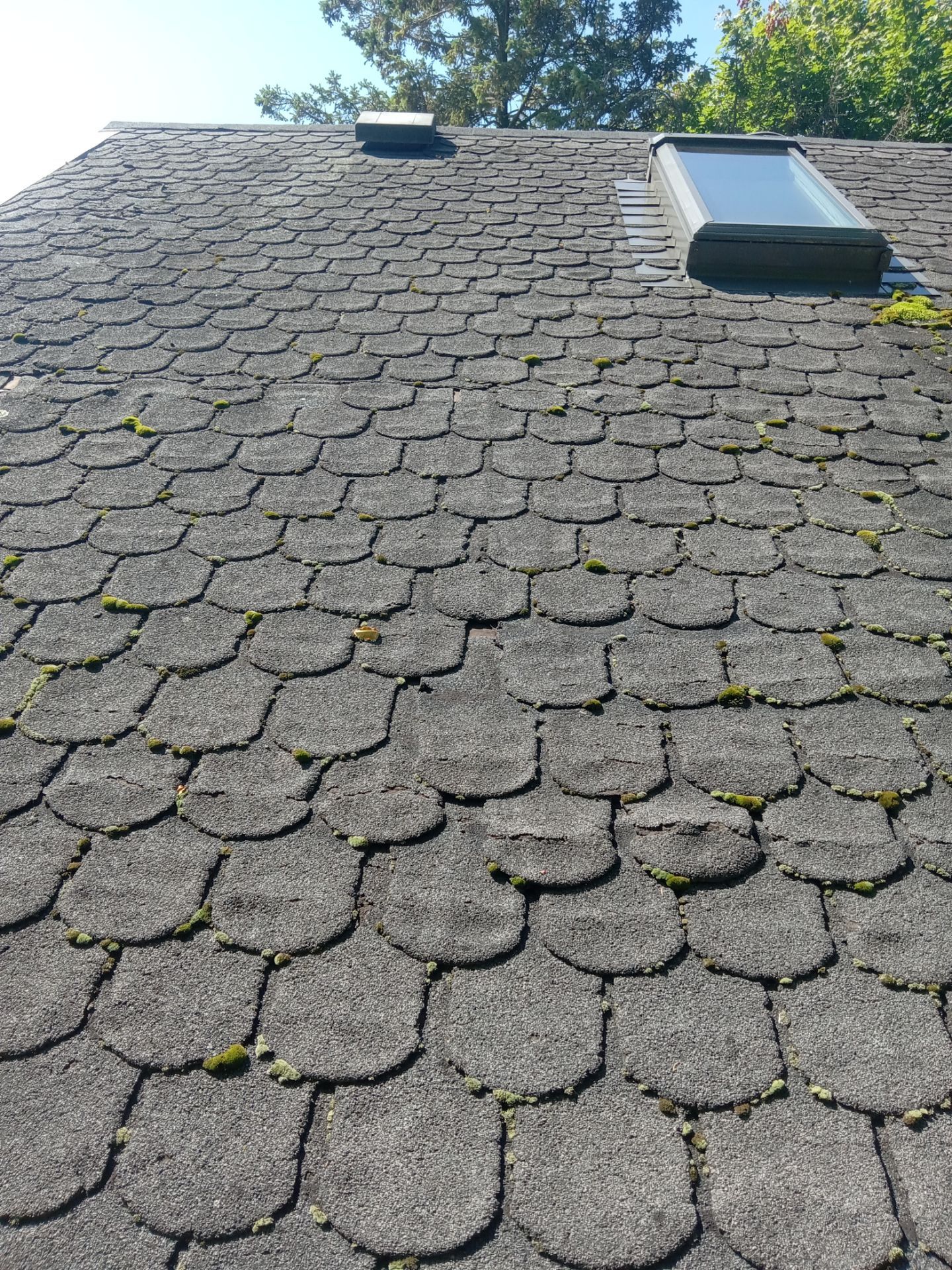 Asphalt Roof Replacement by Custom Installations