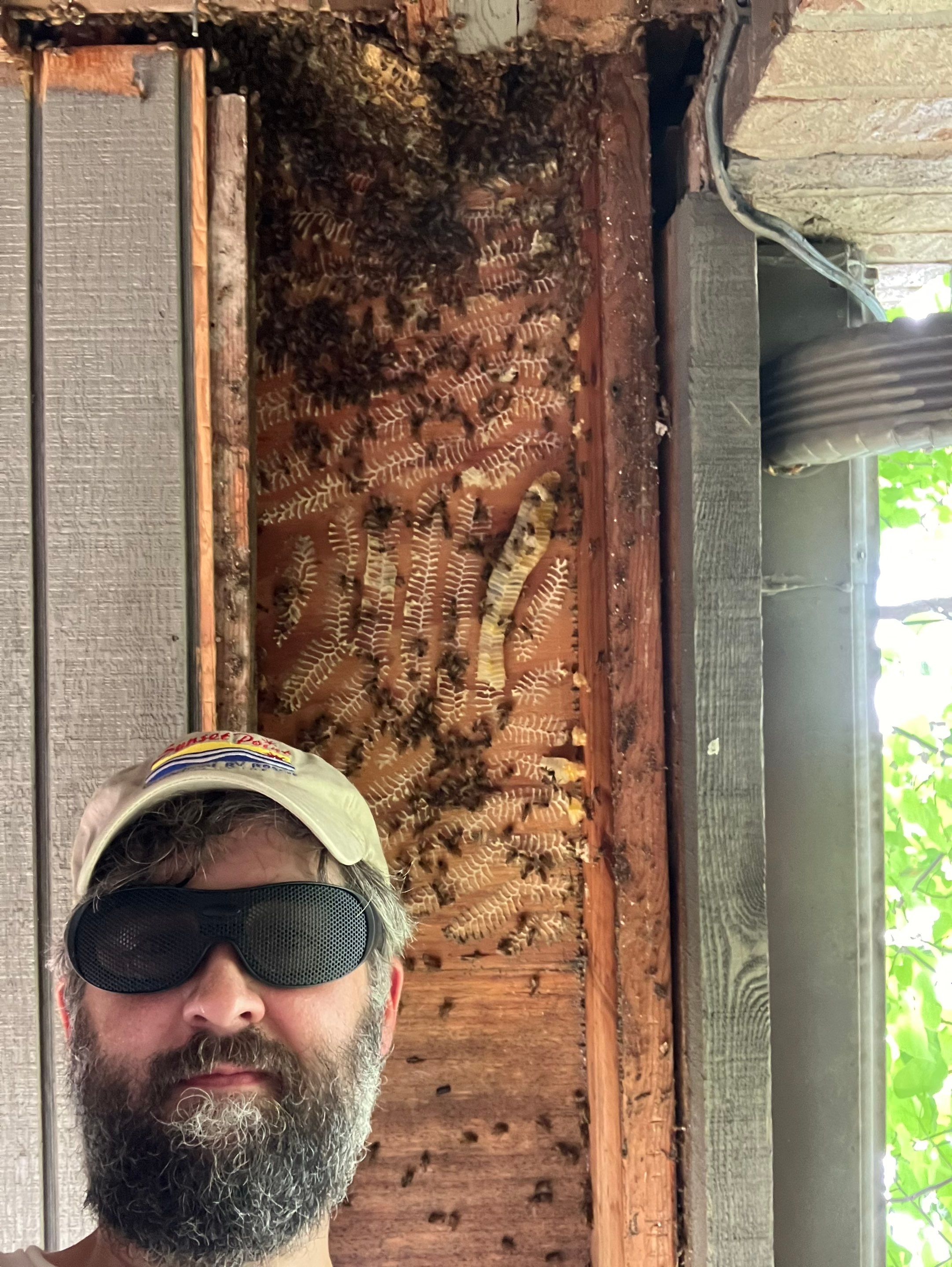 Love this house! by Rockwall Honey Bee Company