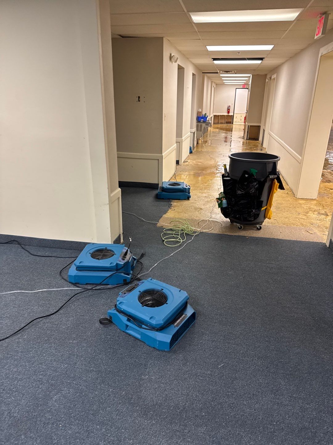 Project in Warren by EzDry Water Mitigation & Property Restoration