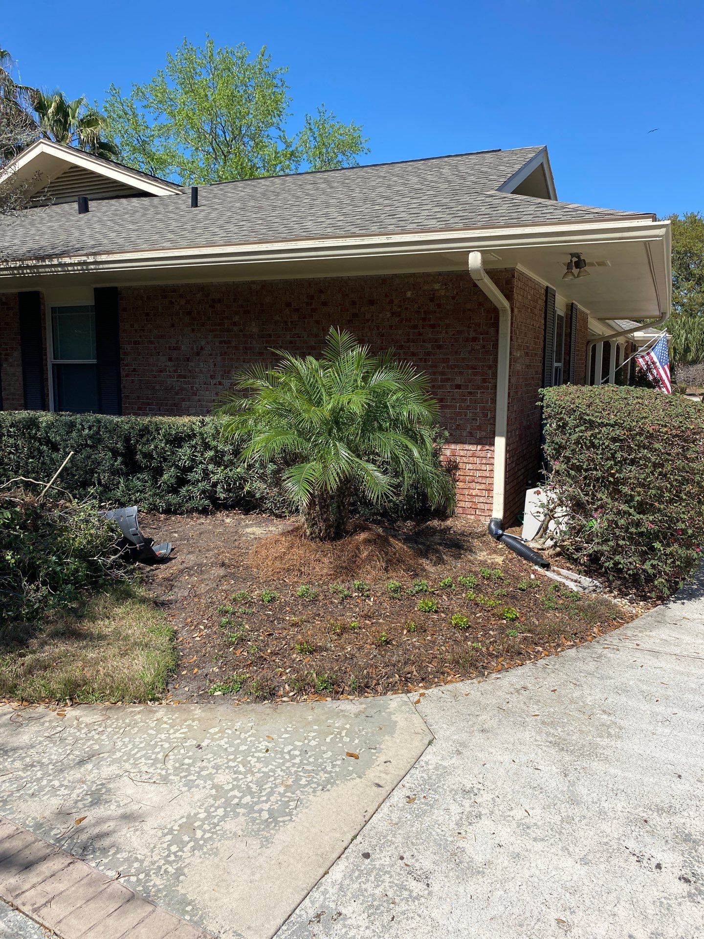 Deerwood Resident | Sod Install & Shrub Removal by ProGreen Services