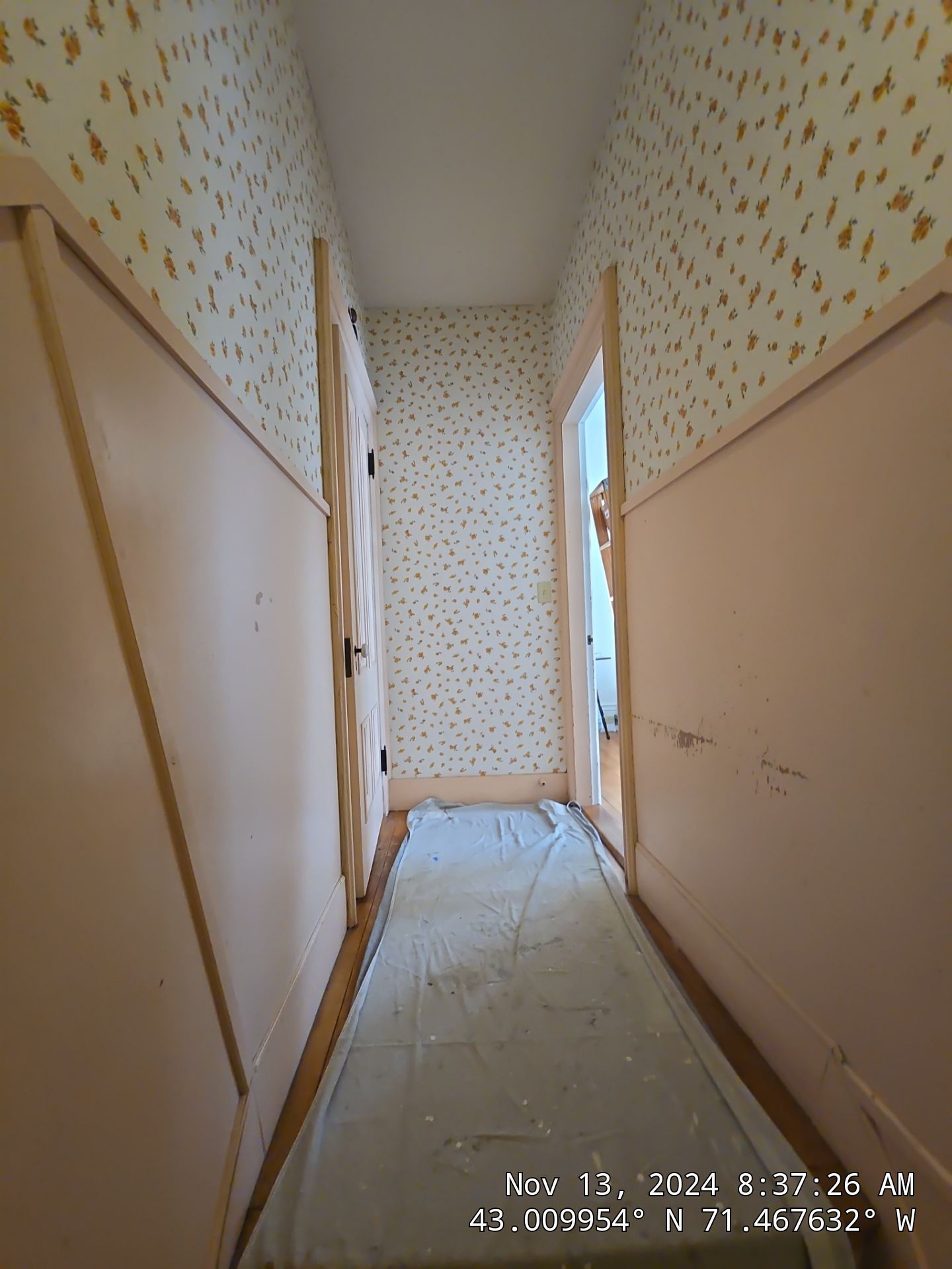 Refreshing an old back hallway for a favorite regular in Manchester's North End by The Persnickety Painters