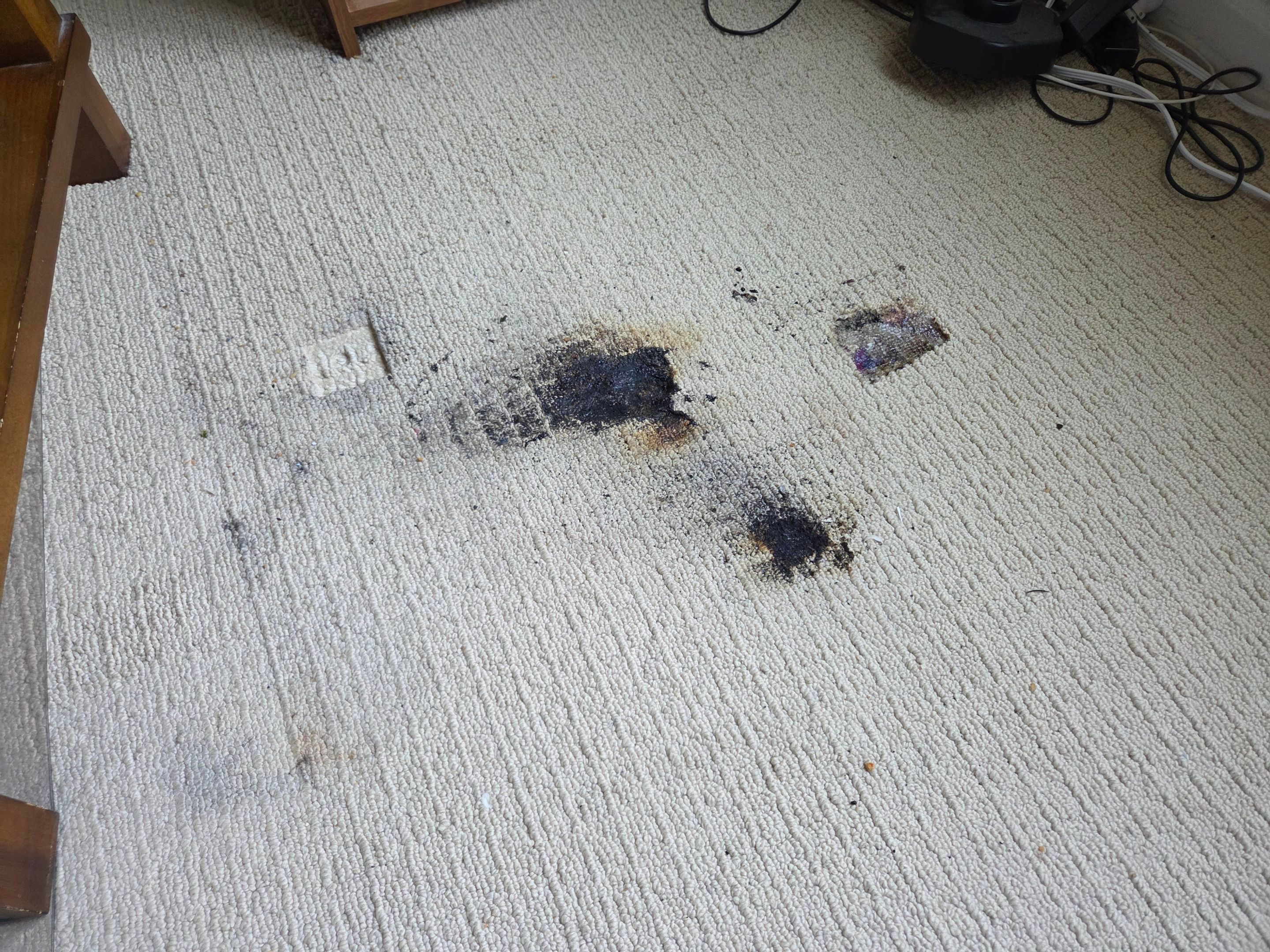 Large Burn, Carpet Repair in EDH by Ardent Carpet Restore LLC