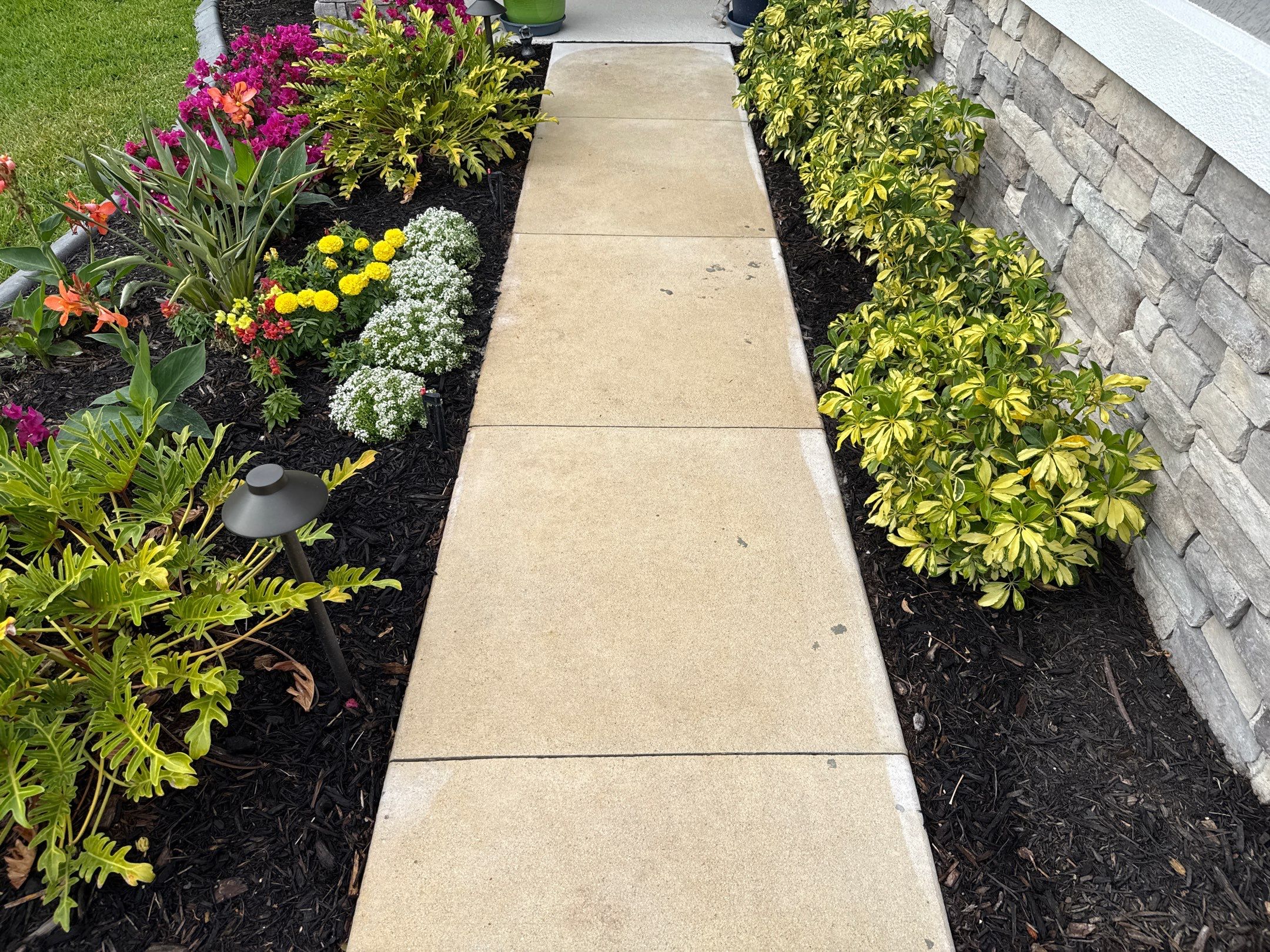 Rust Stain Removal from Concrete Driveway and Pavers in Park East at Azario | Lakewood Ranch, FL by Sunshine AquaWash